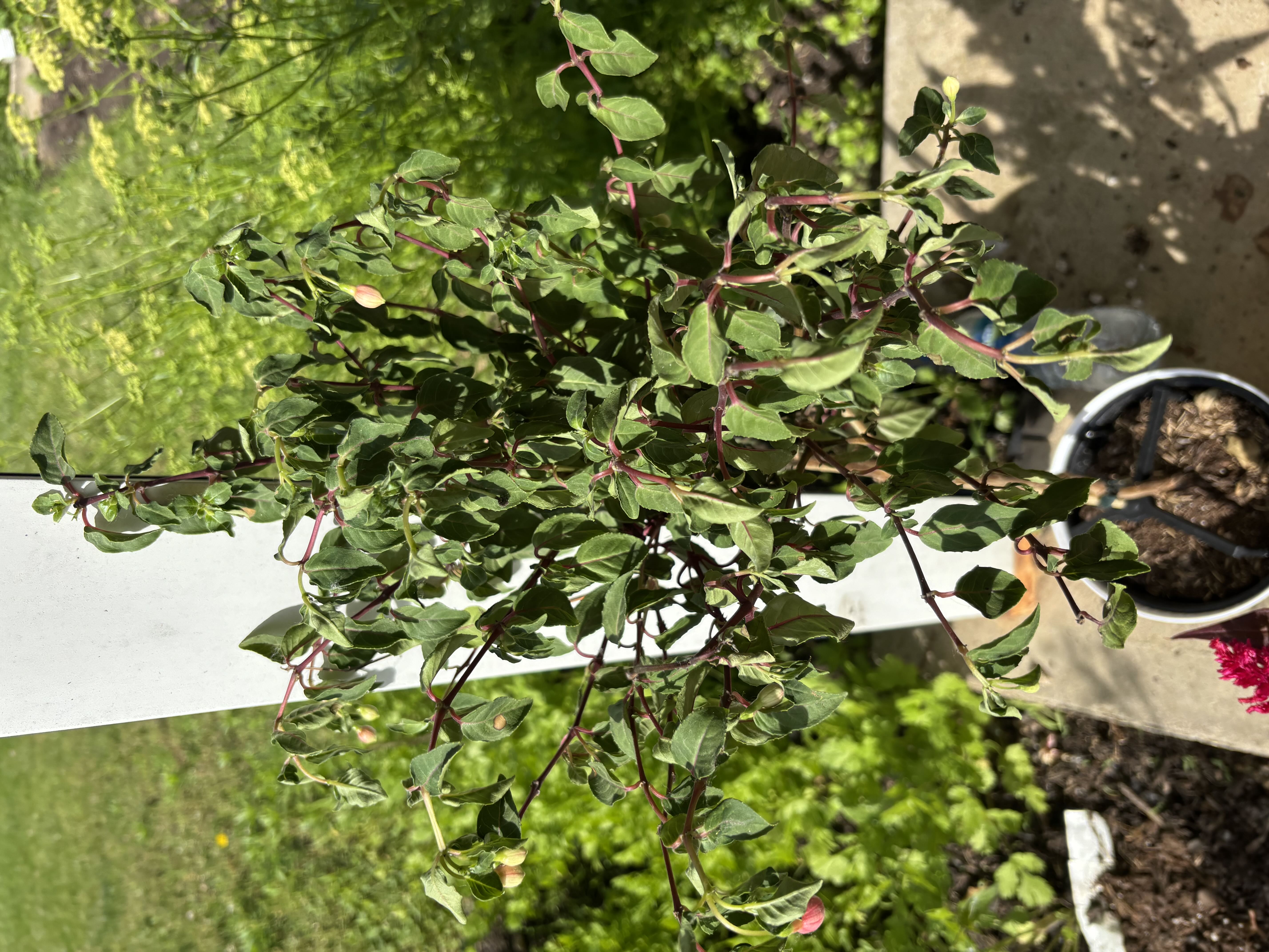 Photo from the post