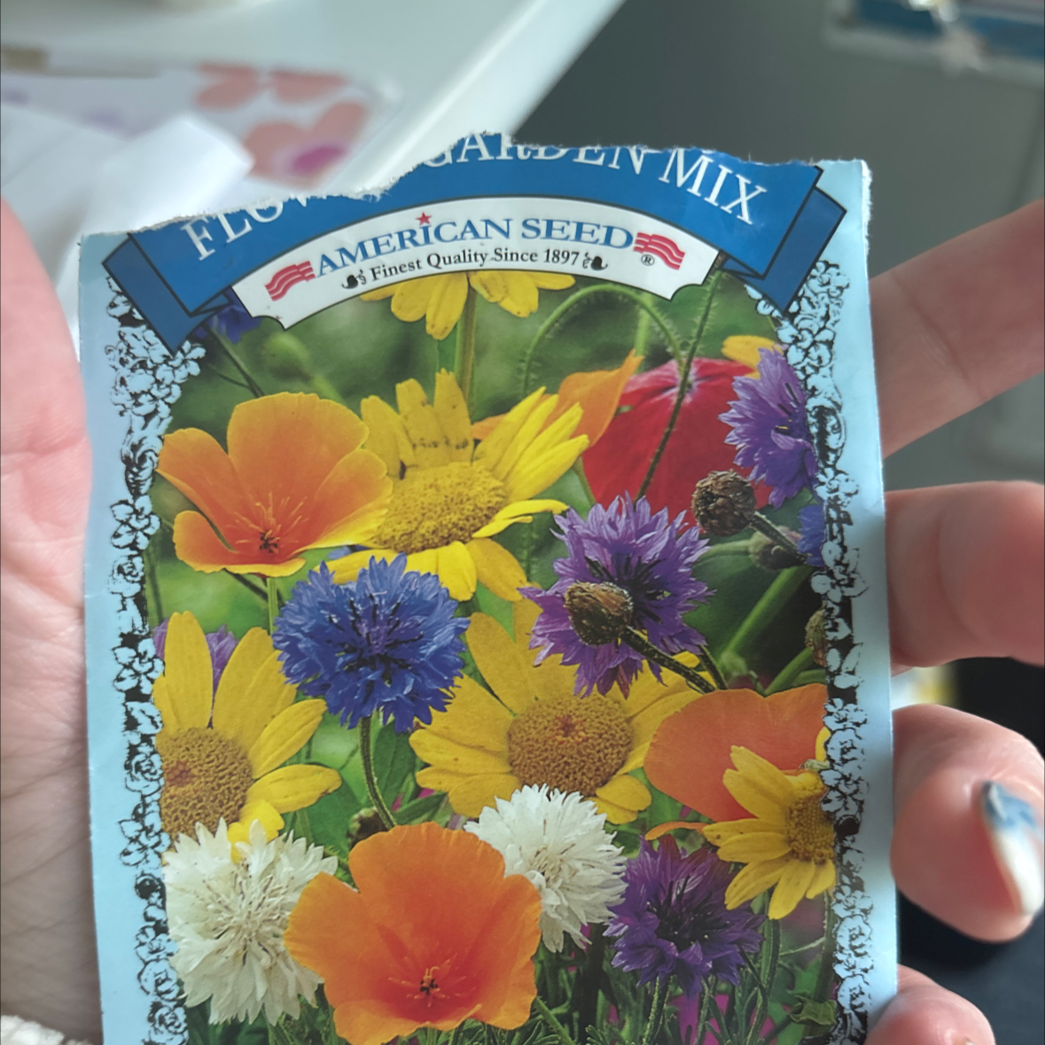 Plant care for Purple Splendour Rhododendron on Greg, the plant care app