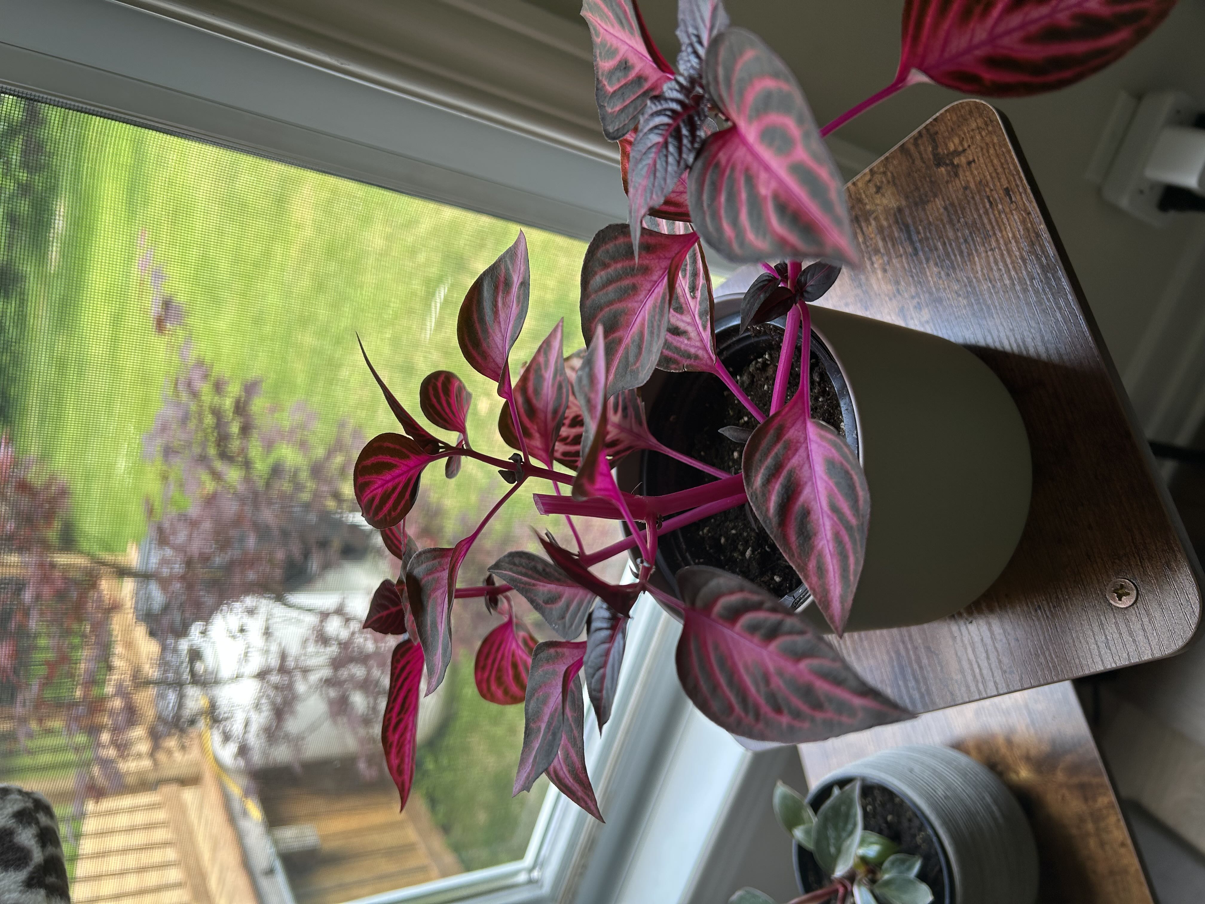 Photo from the post