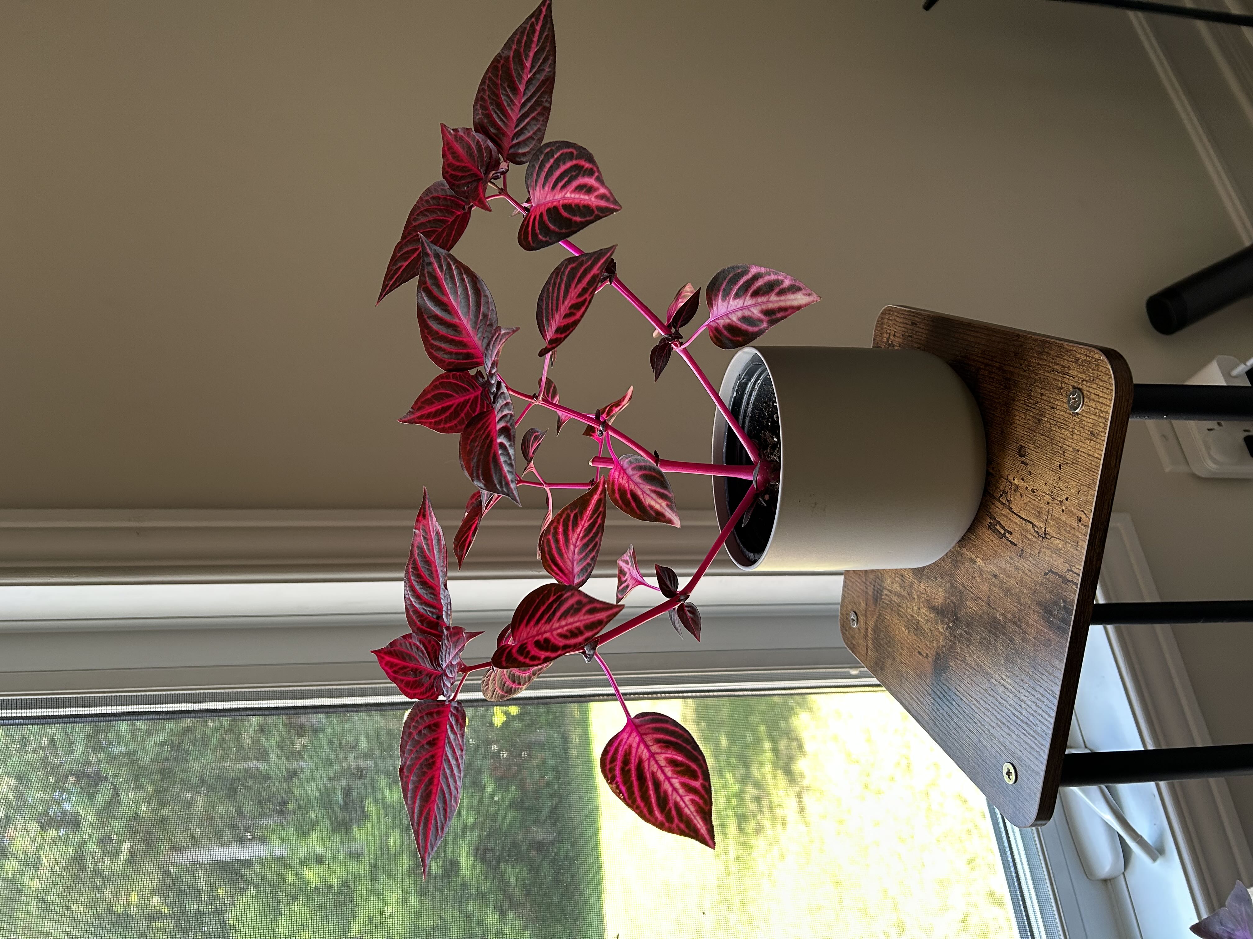 Photo from the post