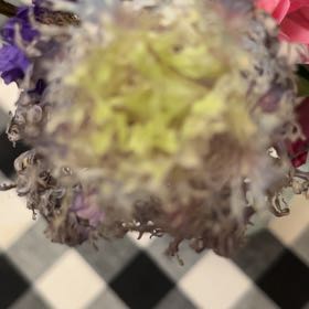 Photo of the plant species Irish Moss by @Loveplants28 named Harper on Greg, the plant care app