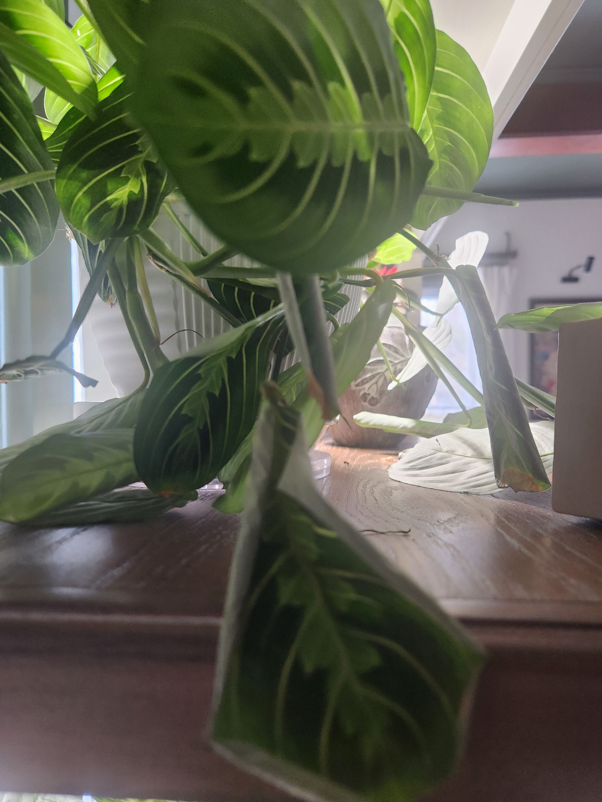 Photo from the post