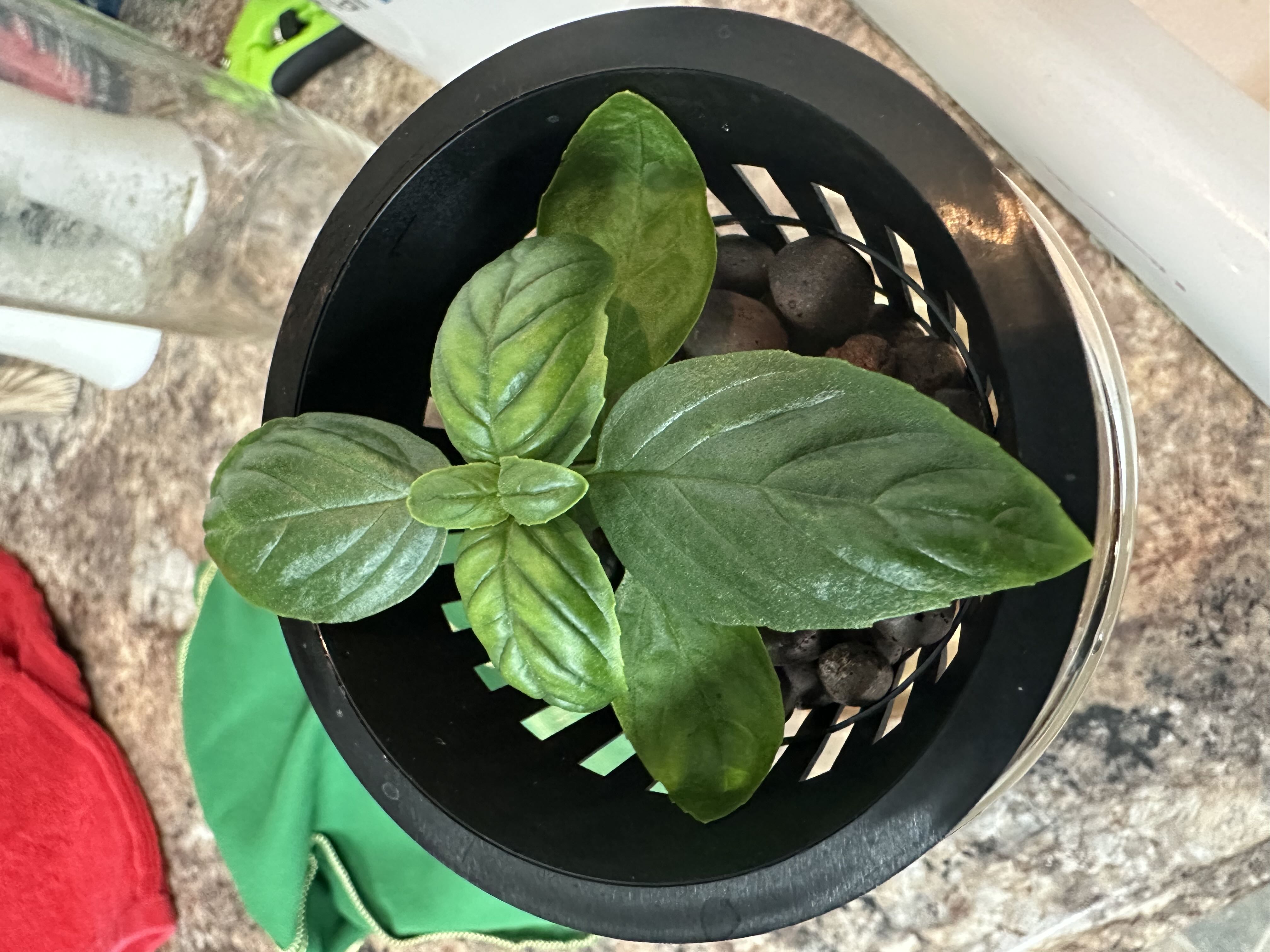 Photo from the post