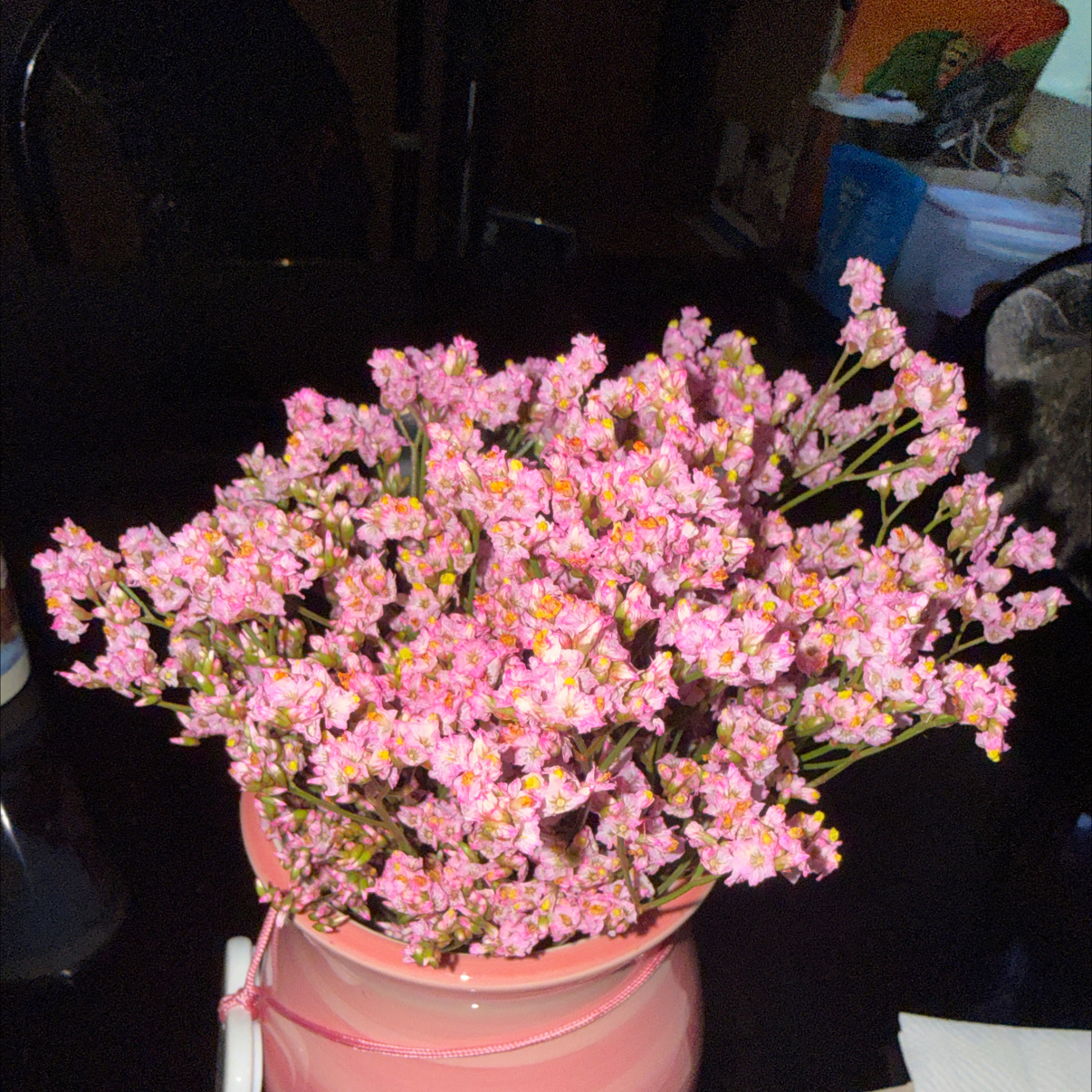 Photo of the plant species Perez's Sea Lavender by @StrongEarthball named Wall-E on Greg, the plant care app