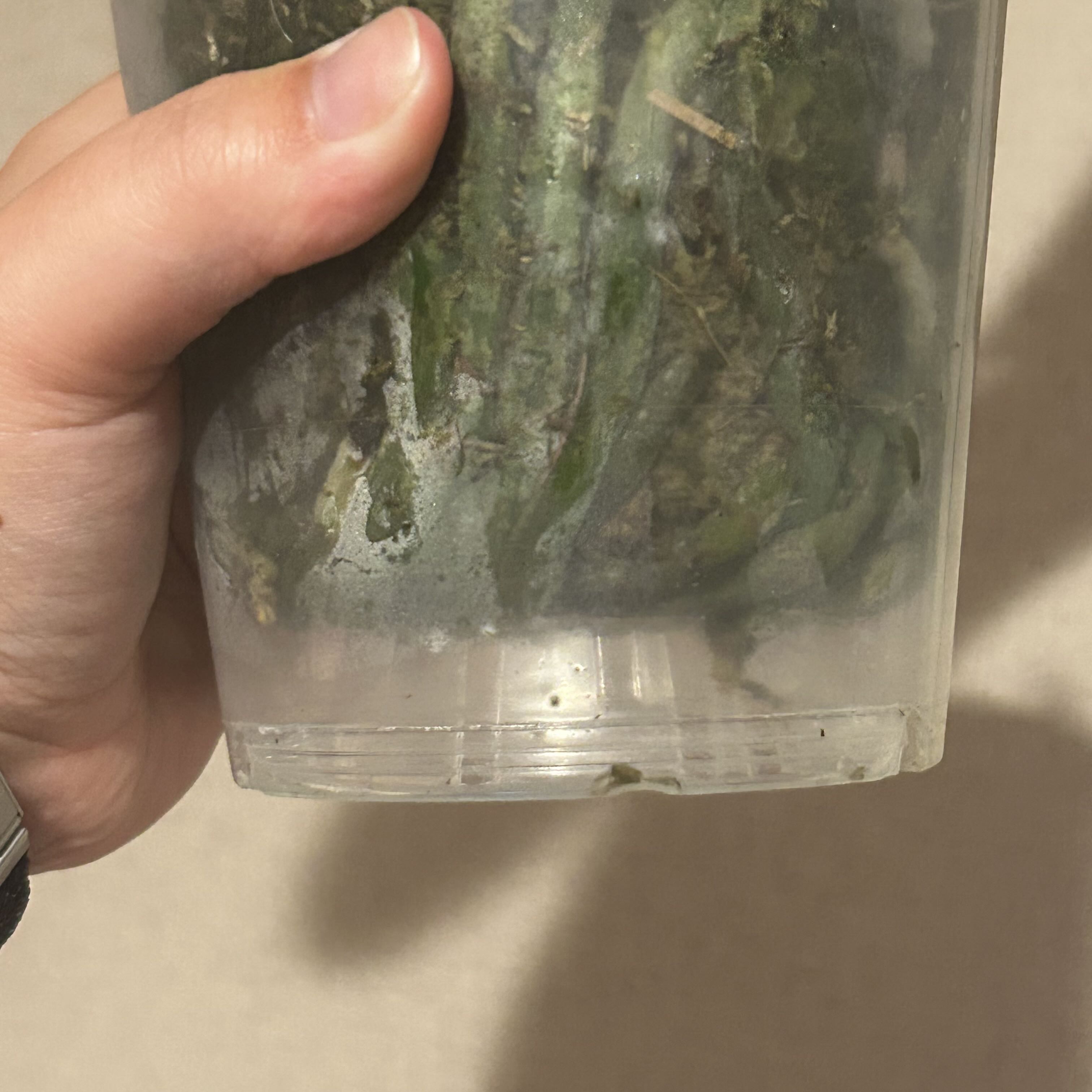 Photo from the post
