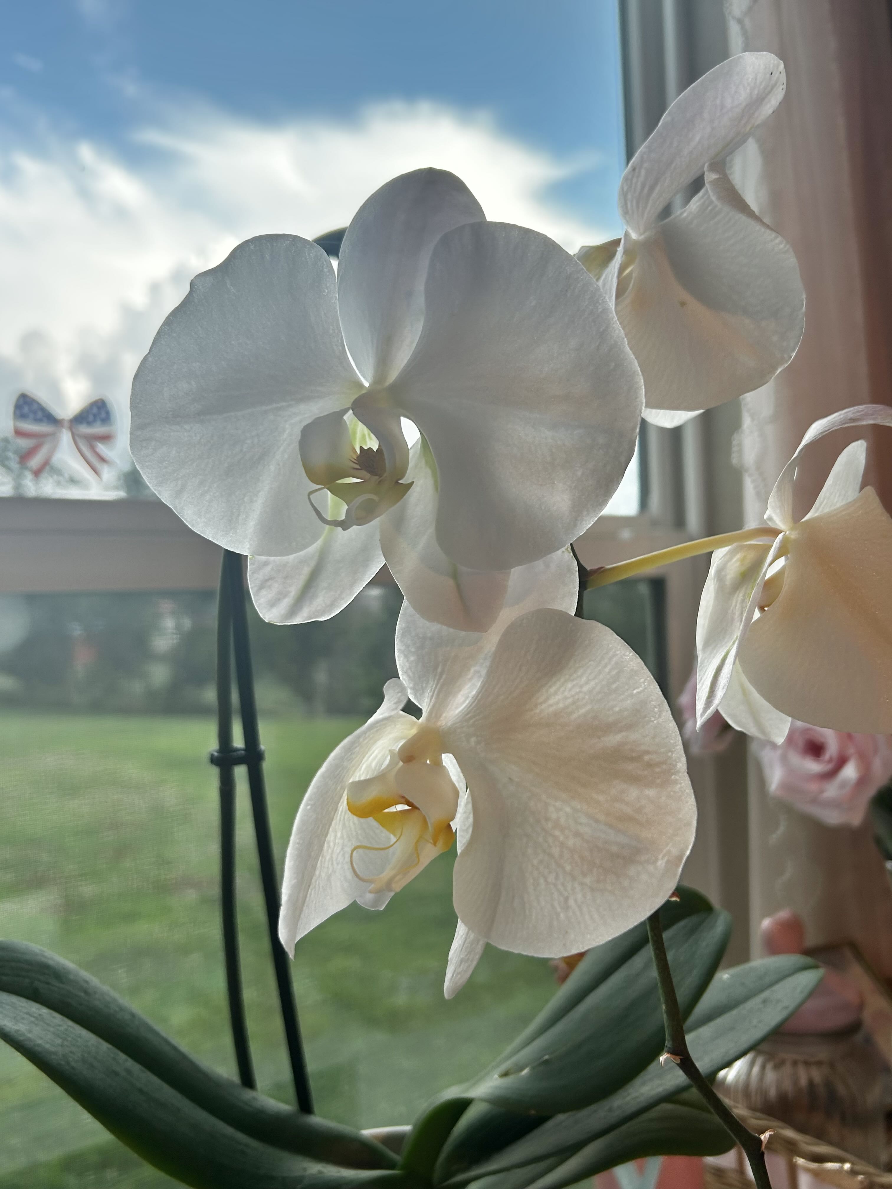 Photo from the post