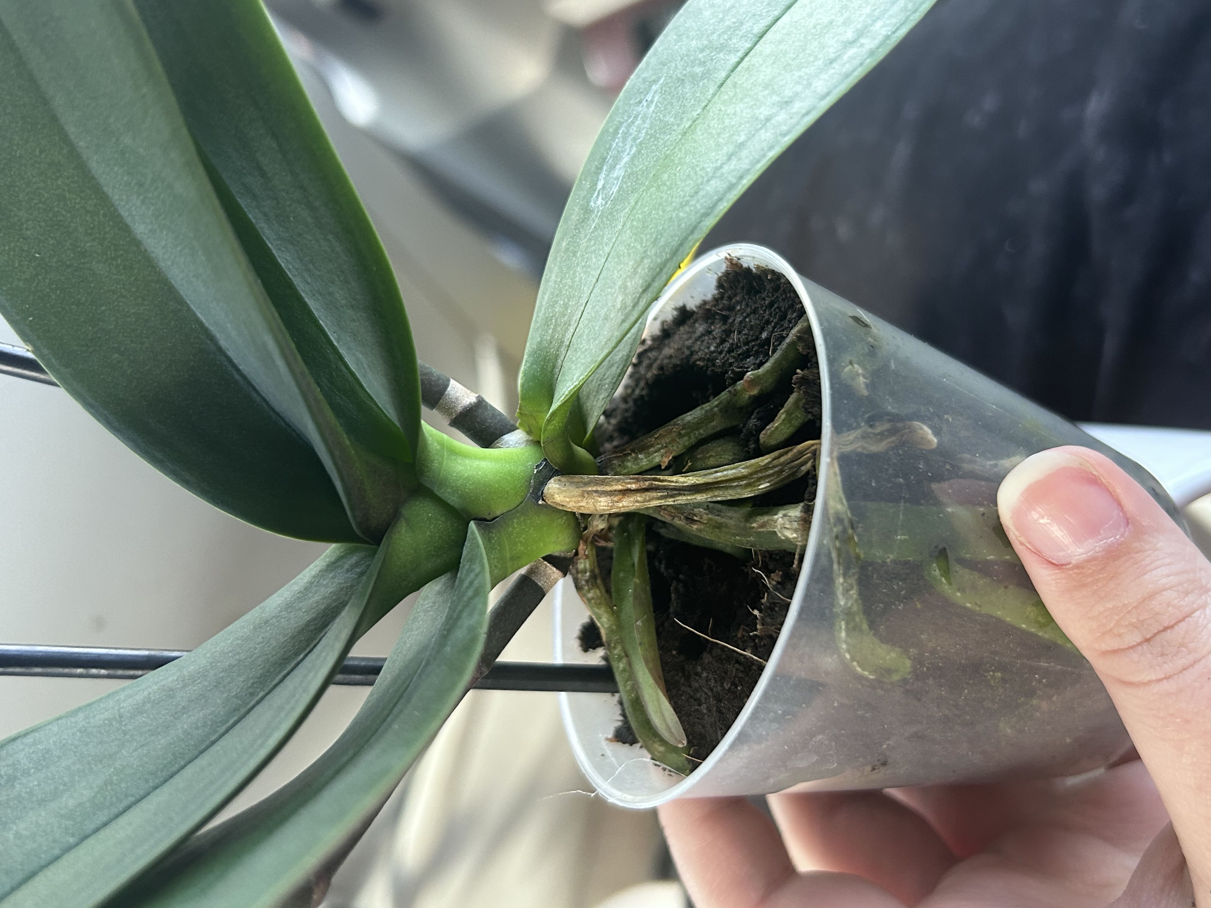 Photo from the post