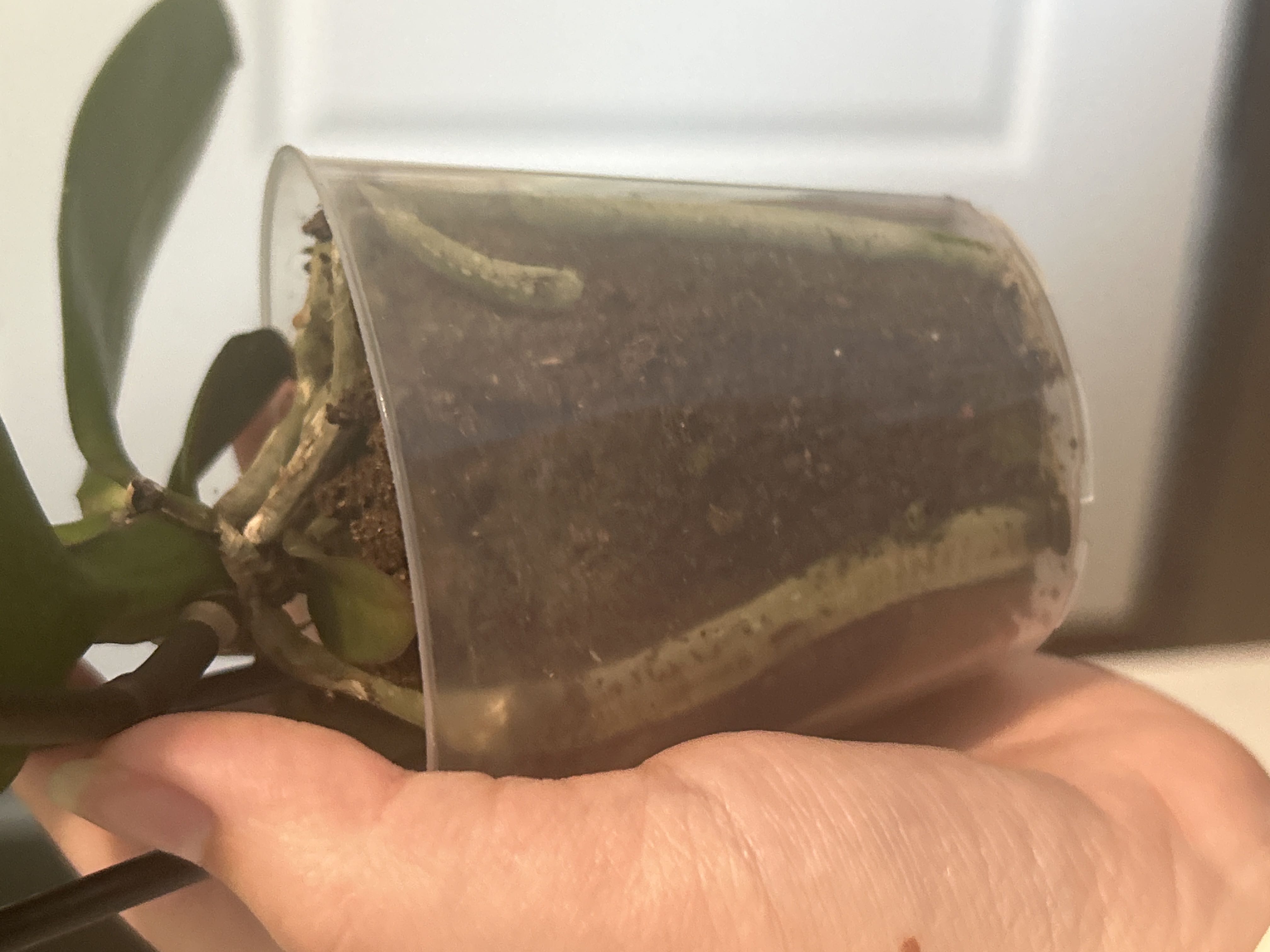Photo from the post