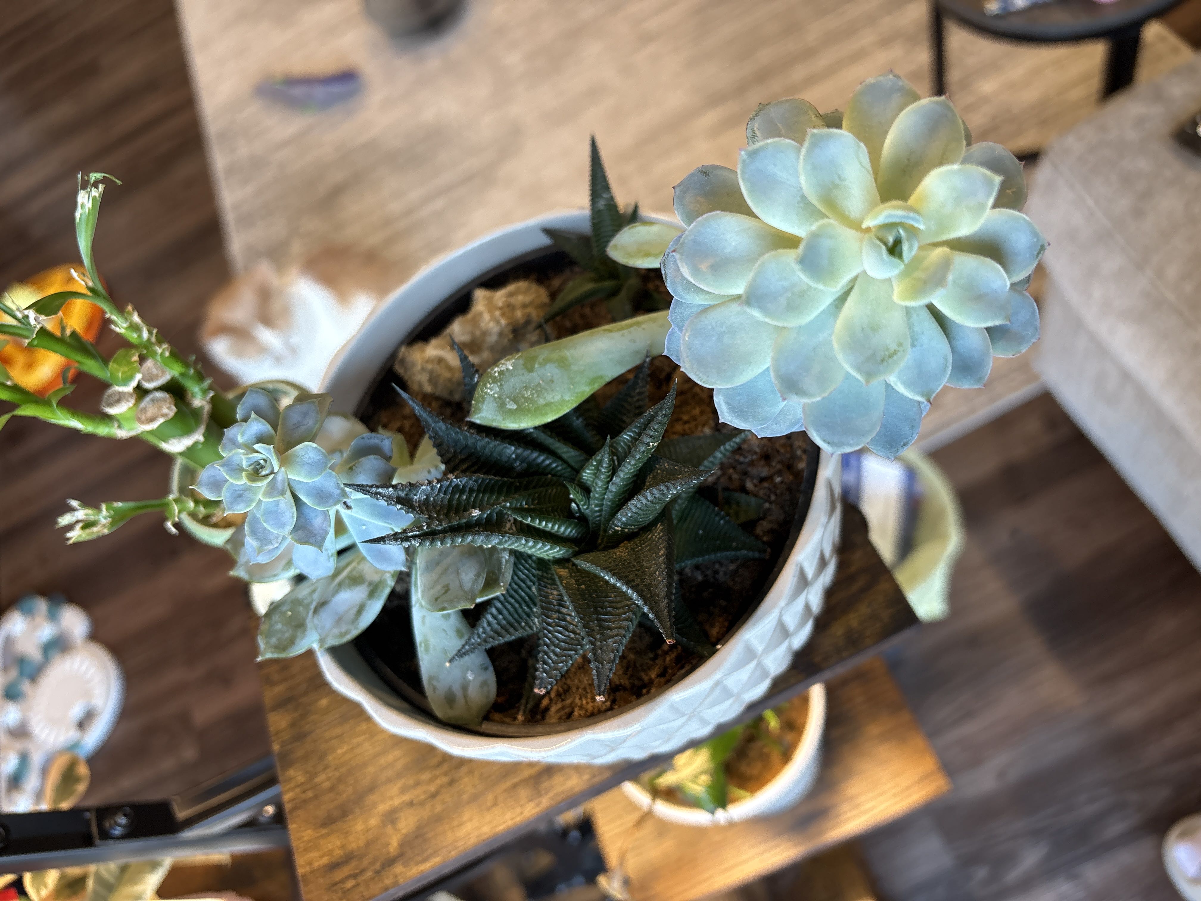 Photo from the post