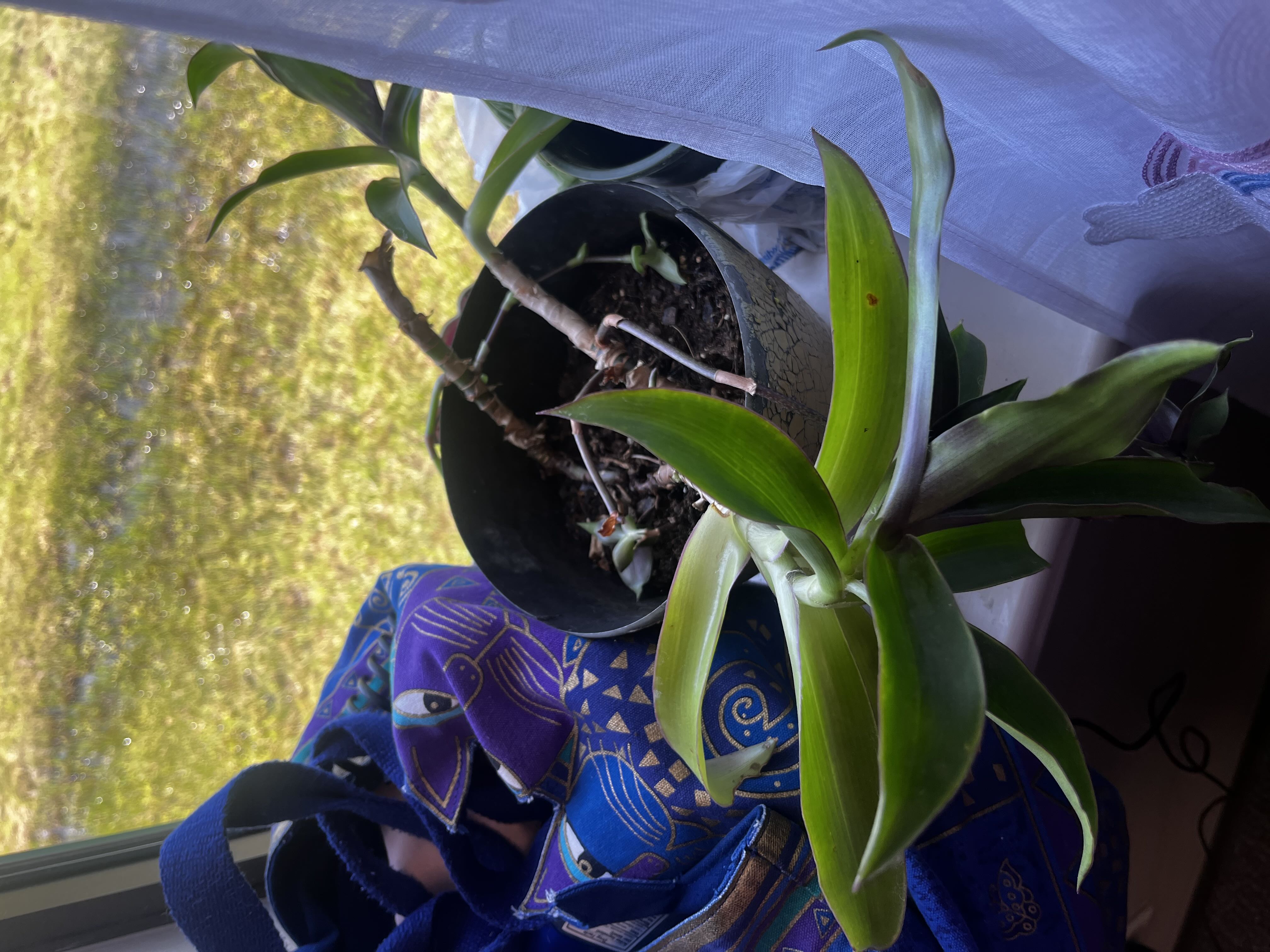 Photo from the post