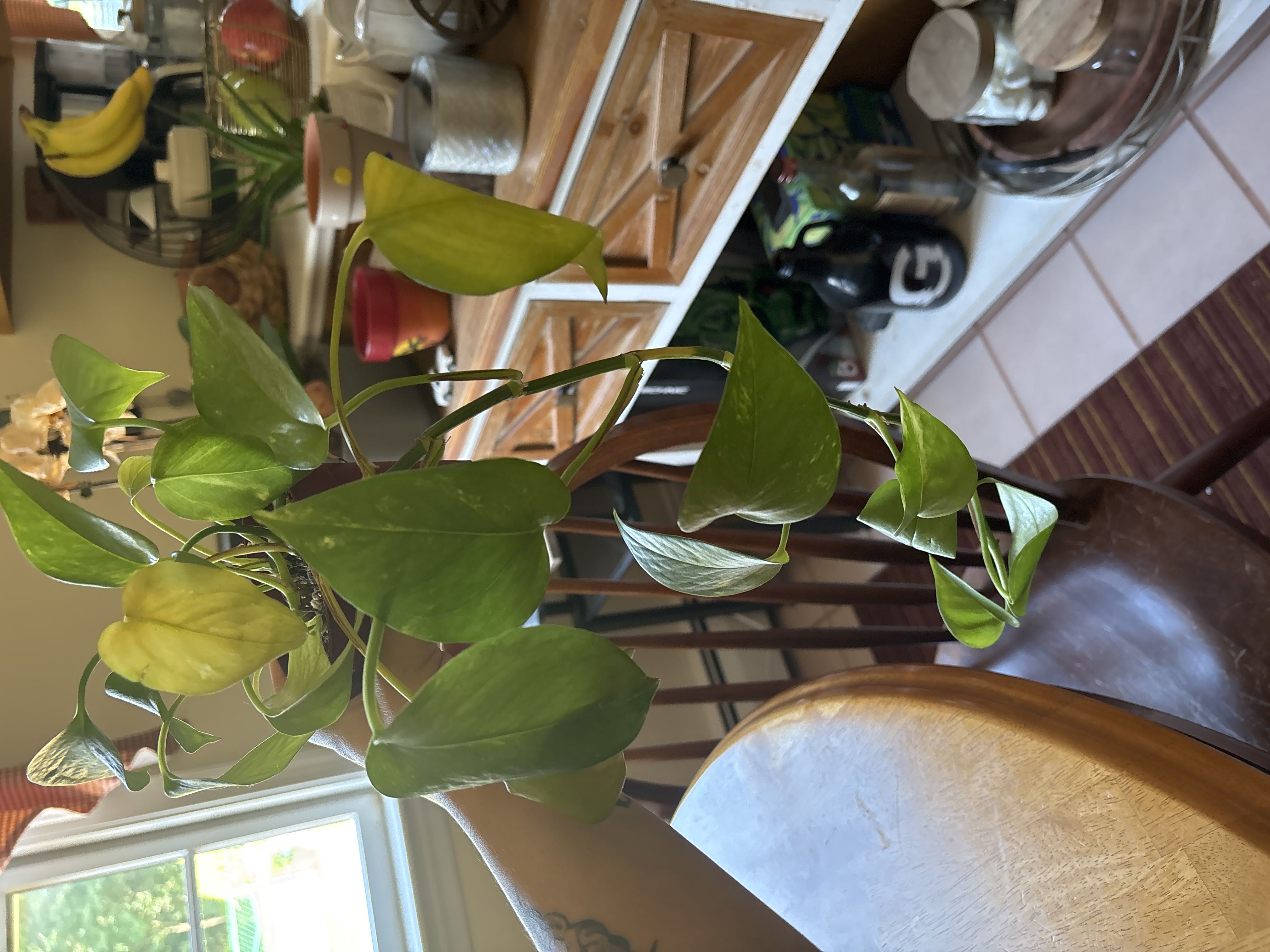 Photo from the post