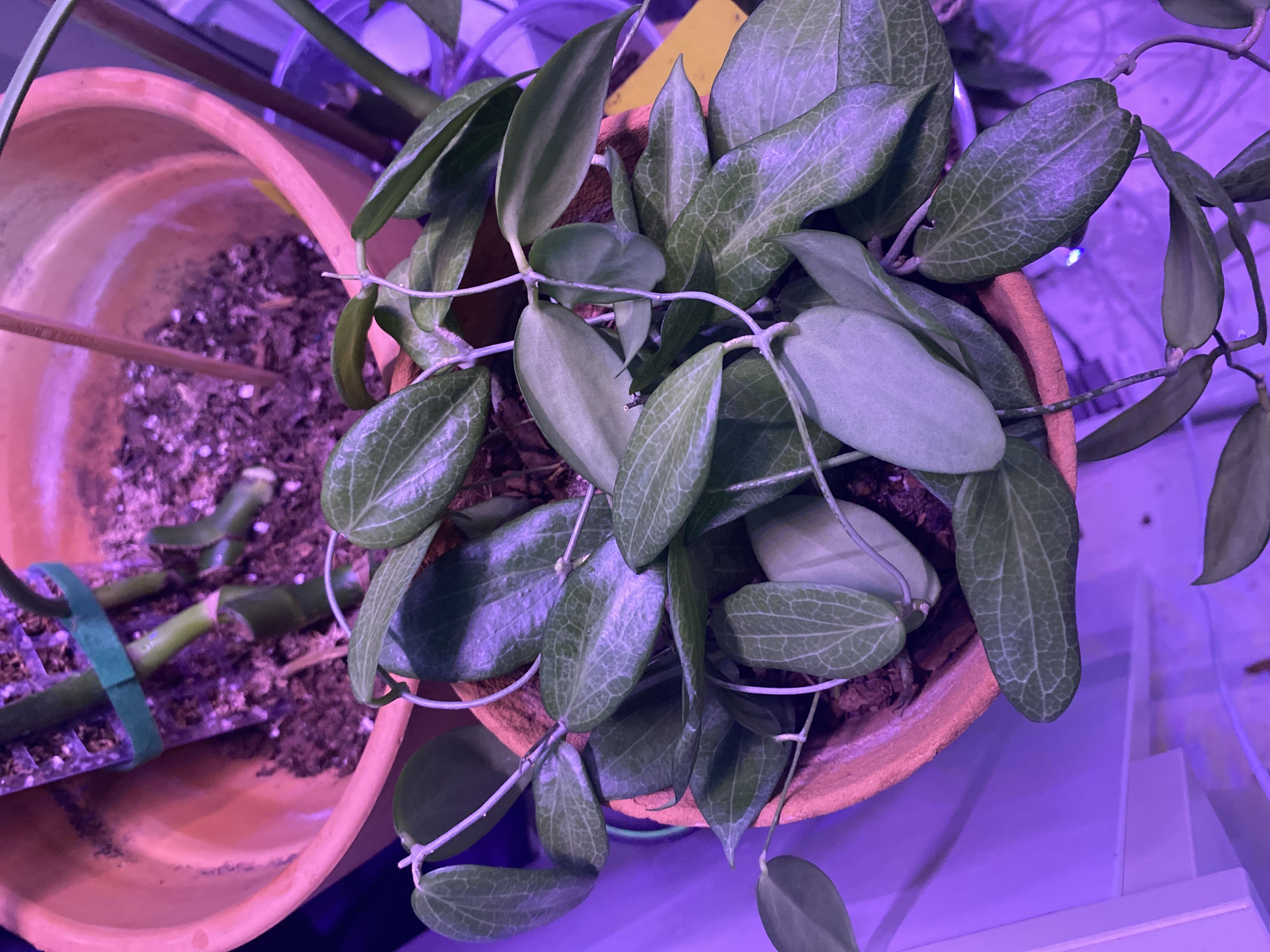 Photo from the post