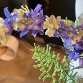 Photo of the plant species Jacaranda by @WinPegaropa16 named Sage on Greg, the plant care app