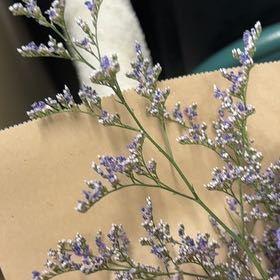 Photo of the plant species Western Marsh Rosemary by @BigLettuce31 named Sproutacus on Greg, the plant care app
