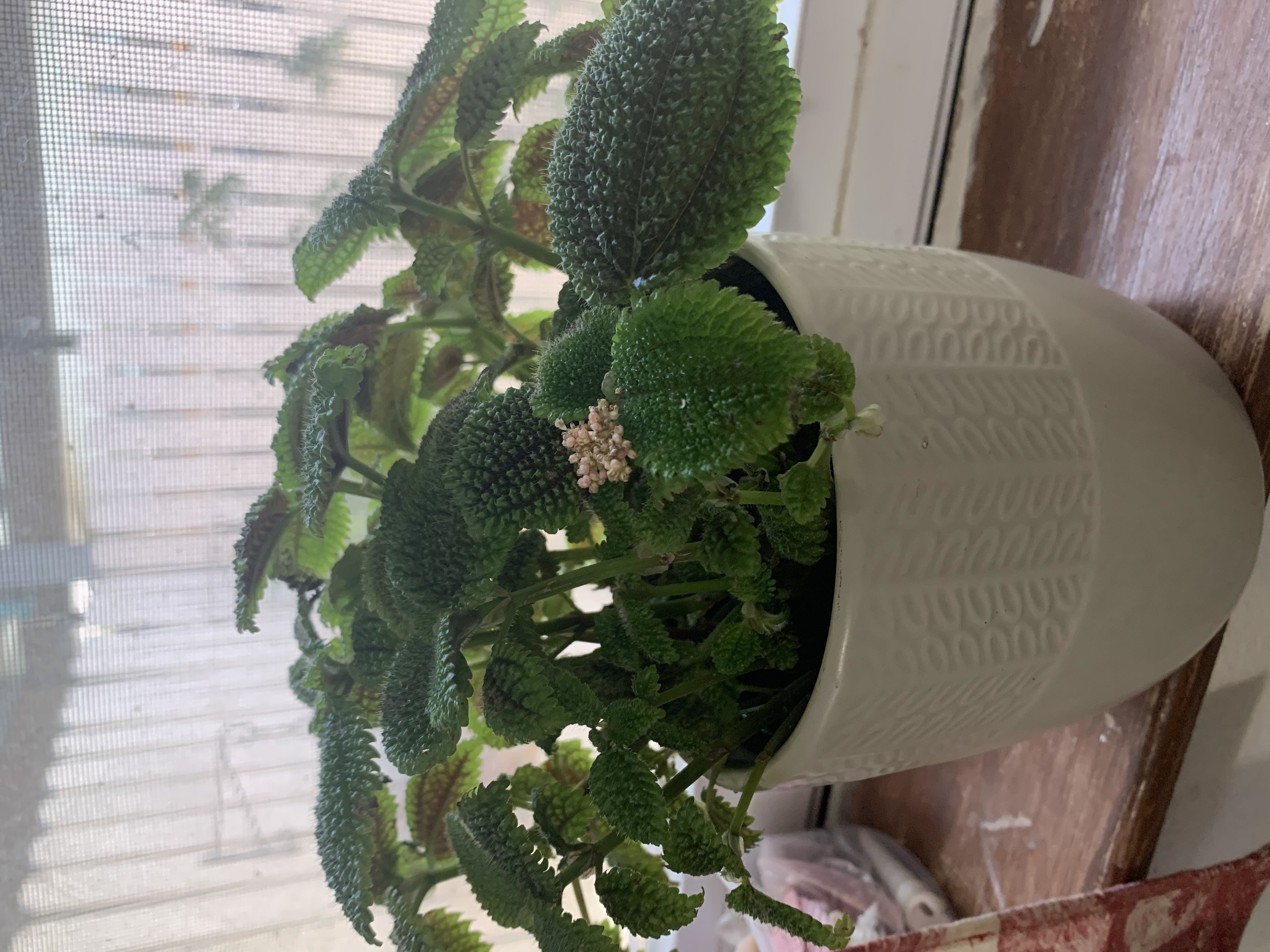 Photo from the post