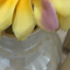 Photo of the plant species Sulphur Cinquefoil by @CalmDatepalm43 named Spike Leaves on Greg, the plant care app