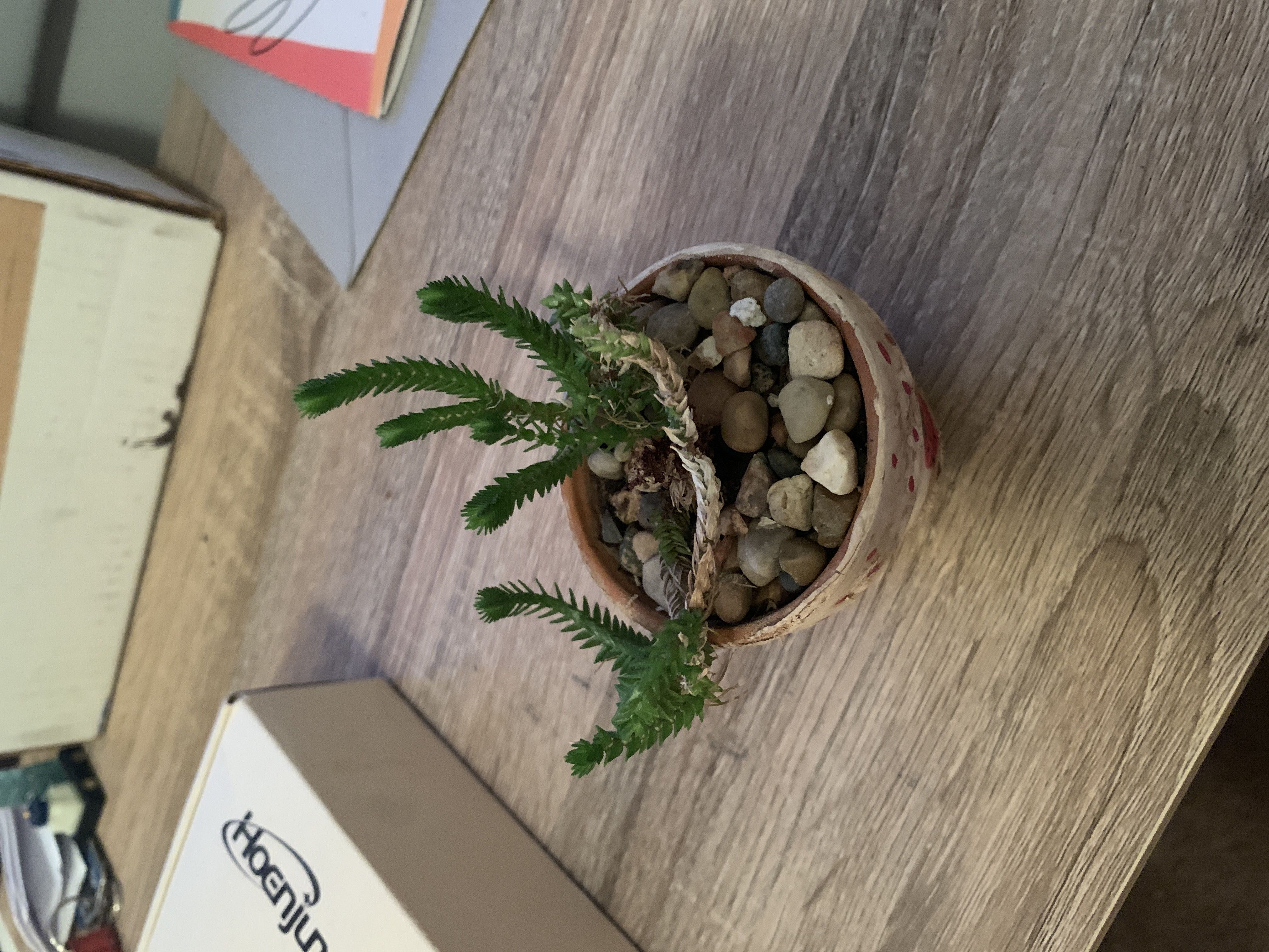 Photo from the post