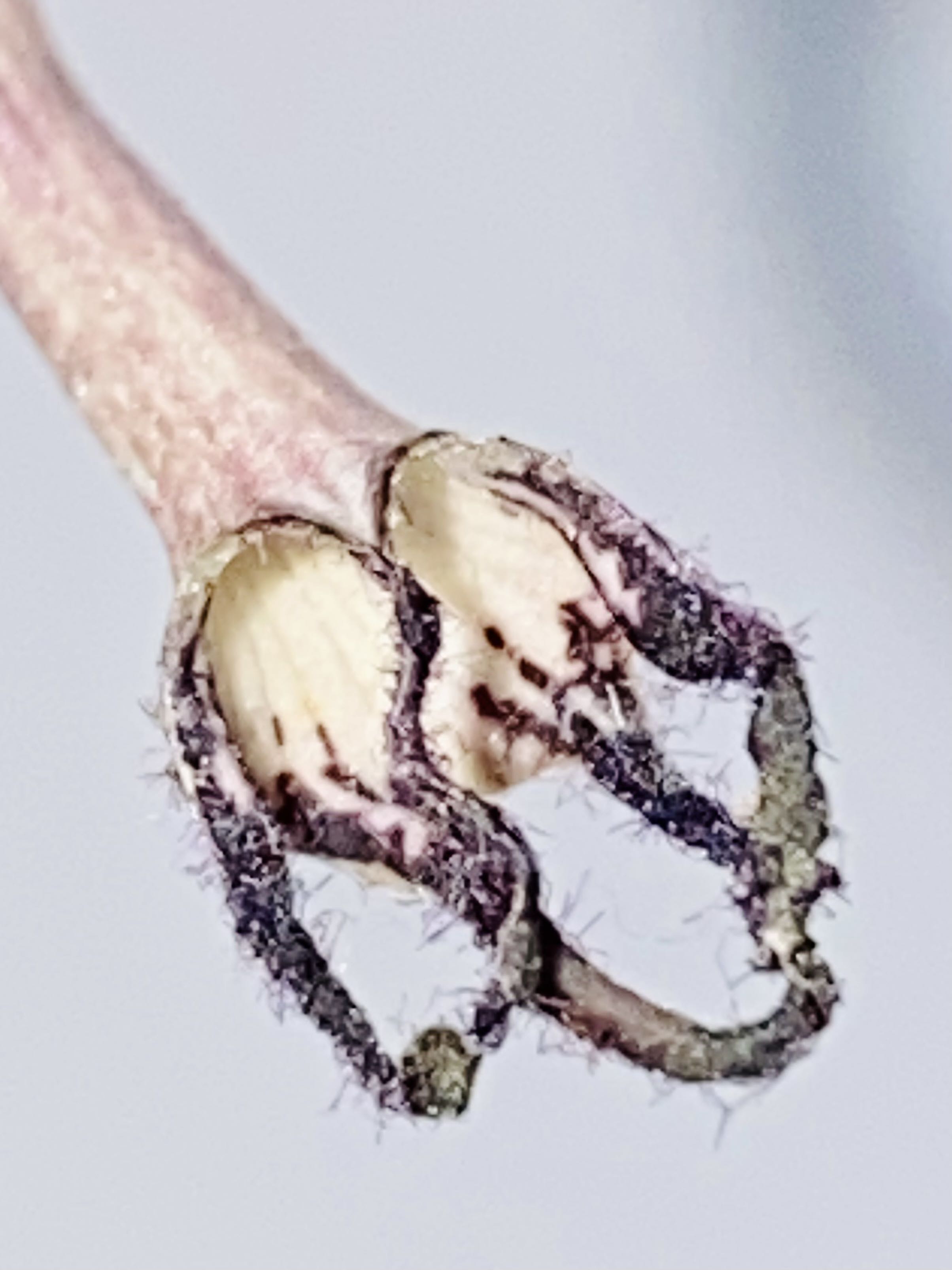 Photo from the post