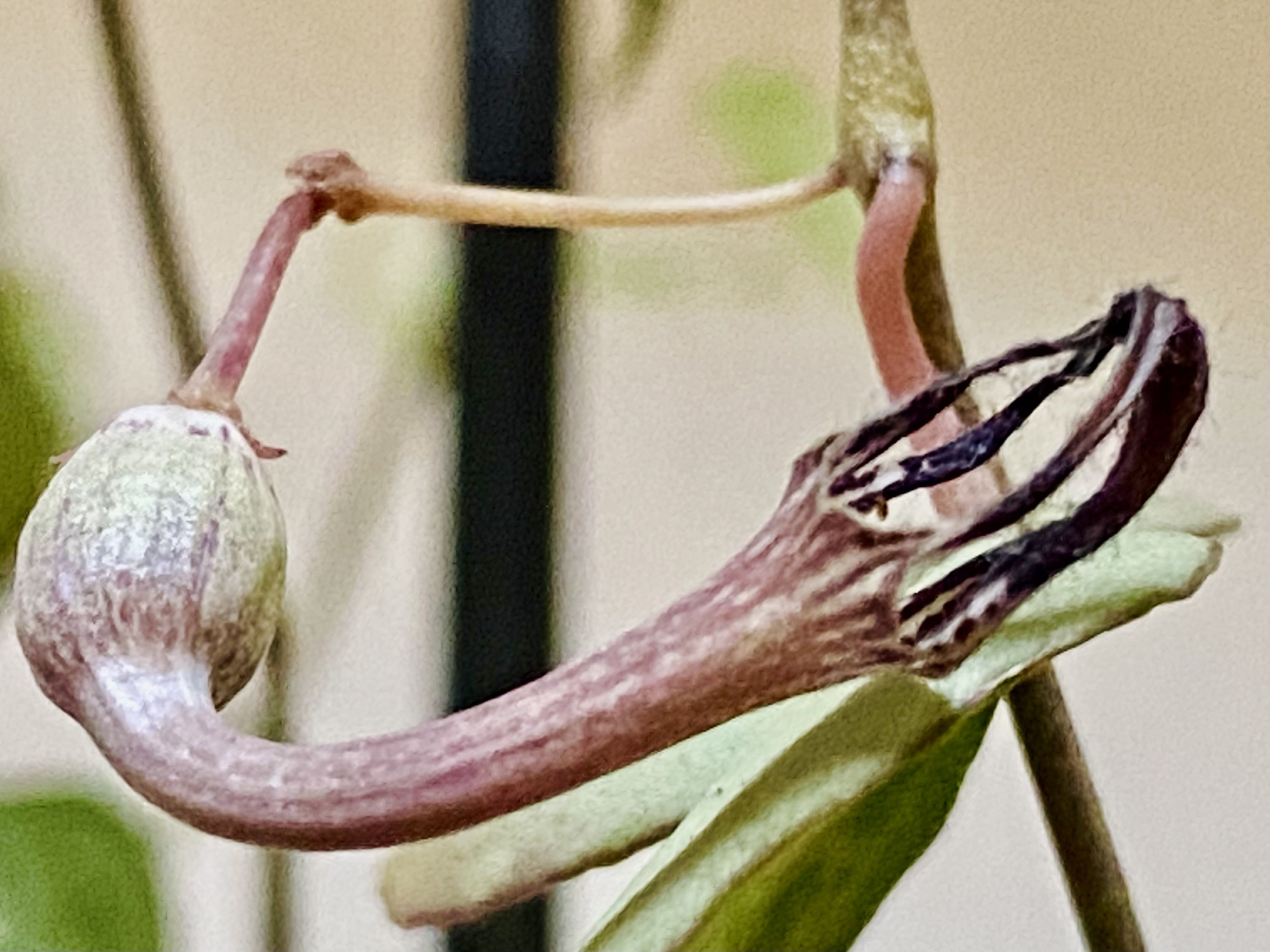 Photo from the post