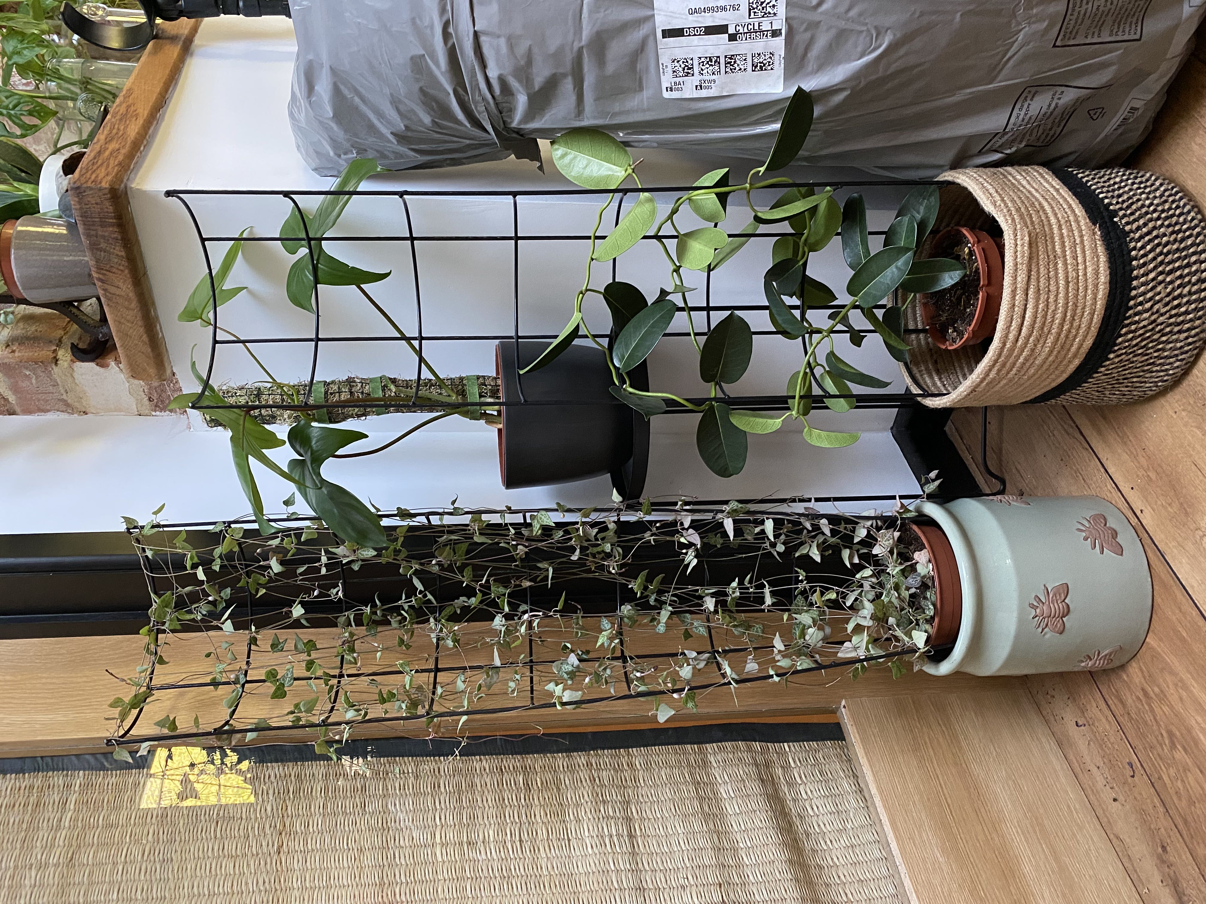 Photo from the post