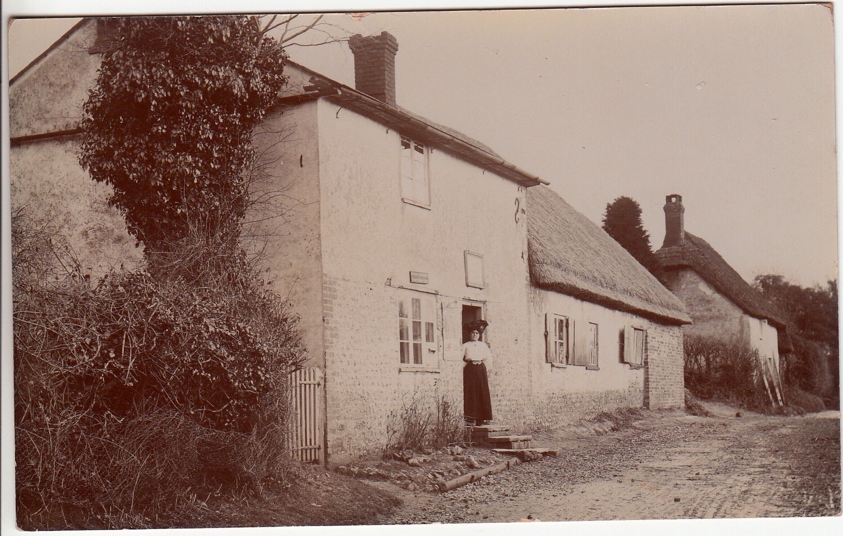 Photo from the post