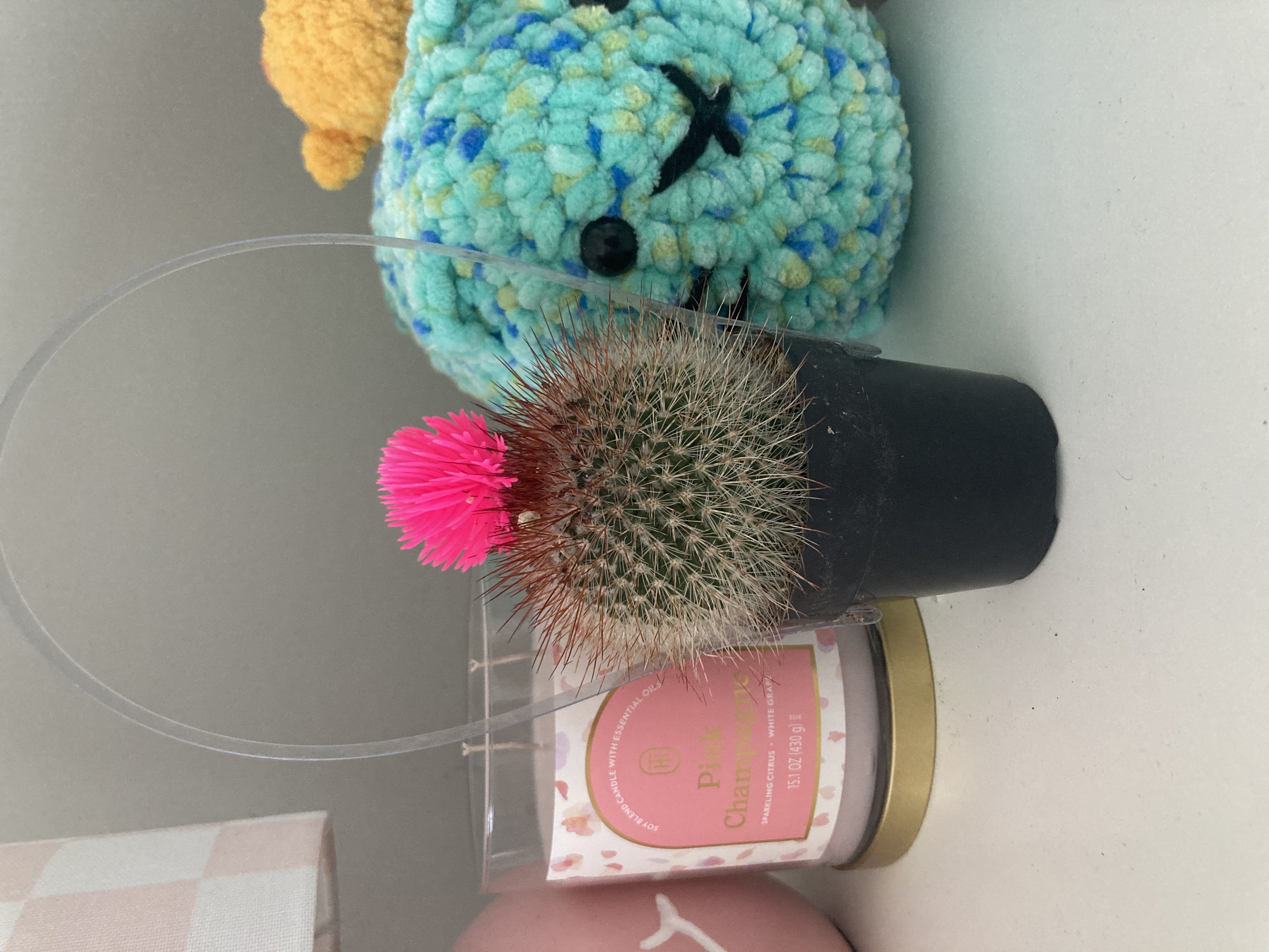Photo from the post
