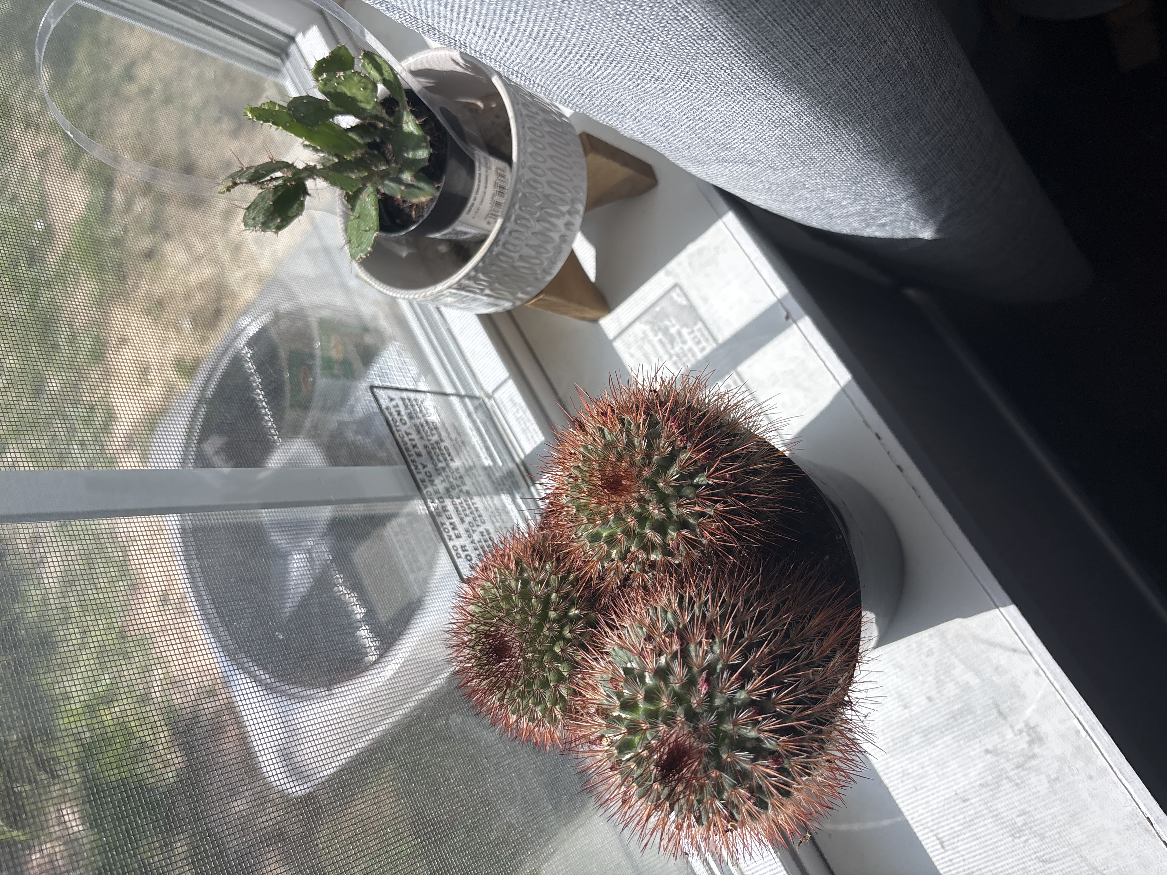 Photo from the post