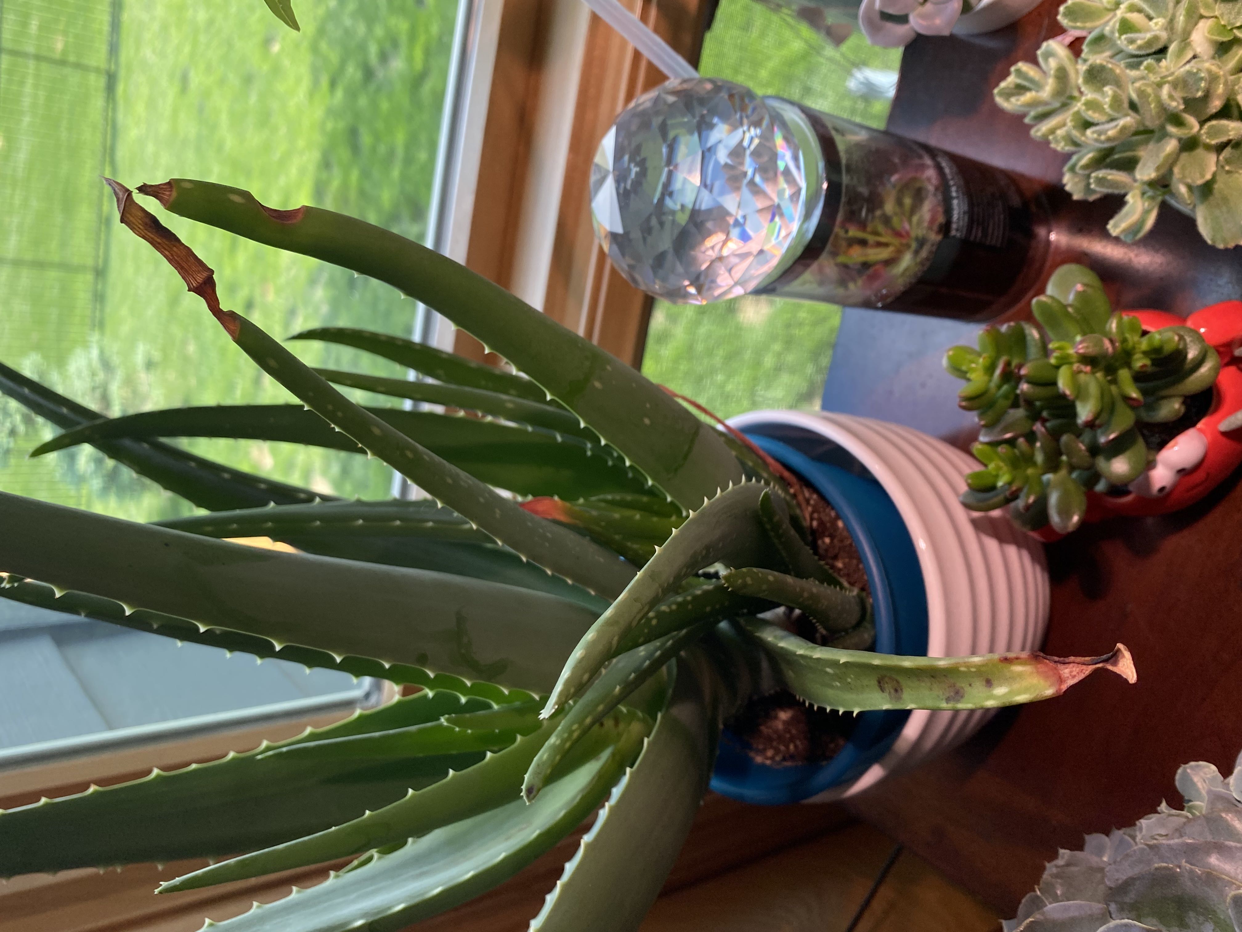 Photo from the post