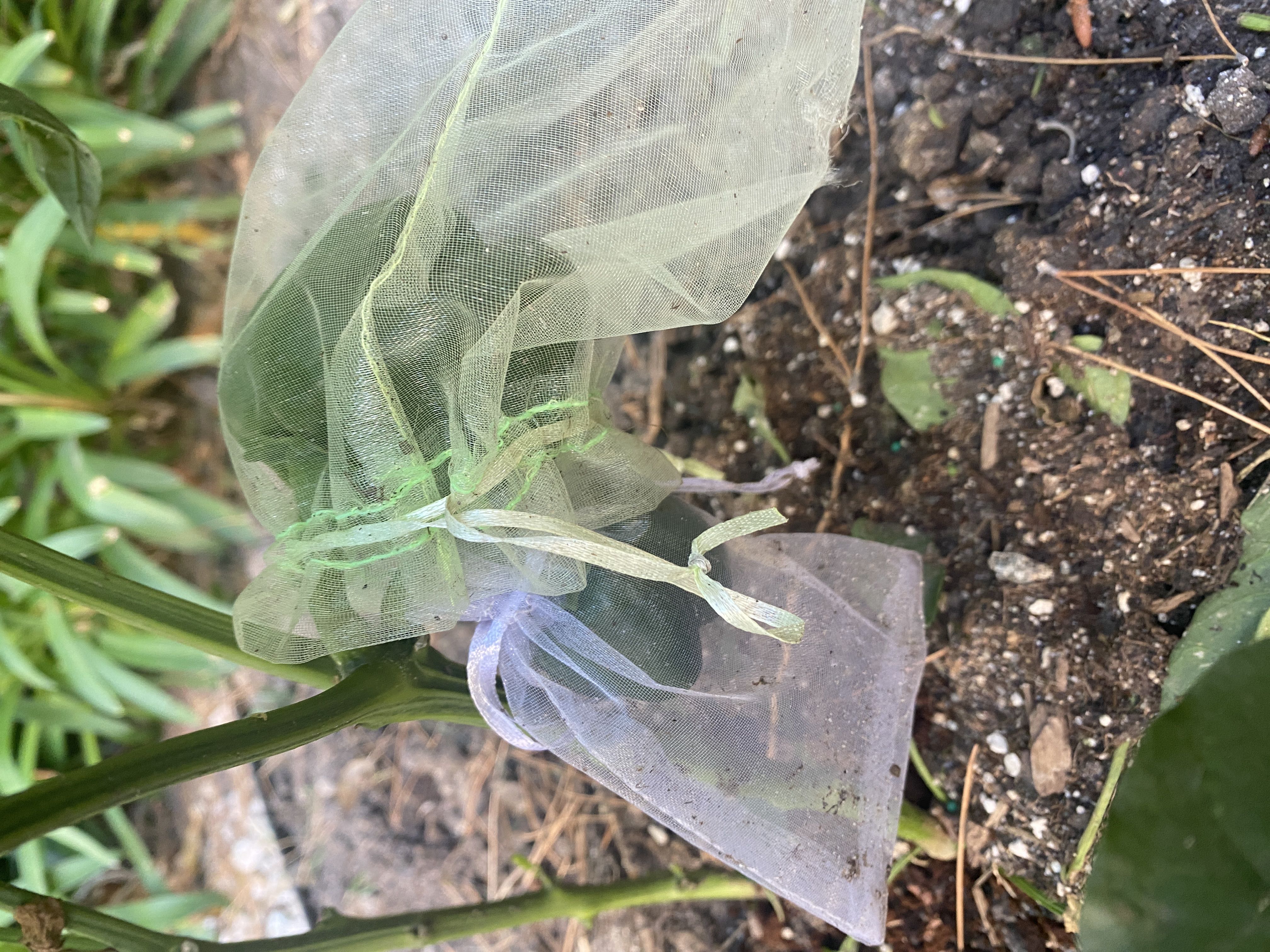 Photo from the post
