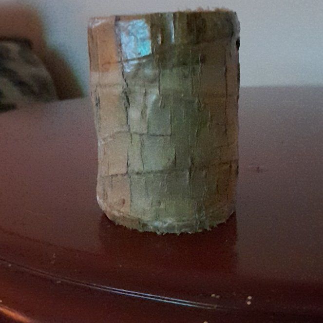 Photo of the plant species Lucky Brazillian Wood by @YummyCowvine87 named Monroe on Greg, the plant care app