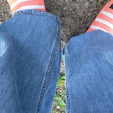 Photo of the plant species Kentucky Coffee Tree by @HomelyMorombe named Bieber on Greg, the plant care app