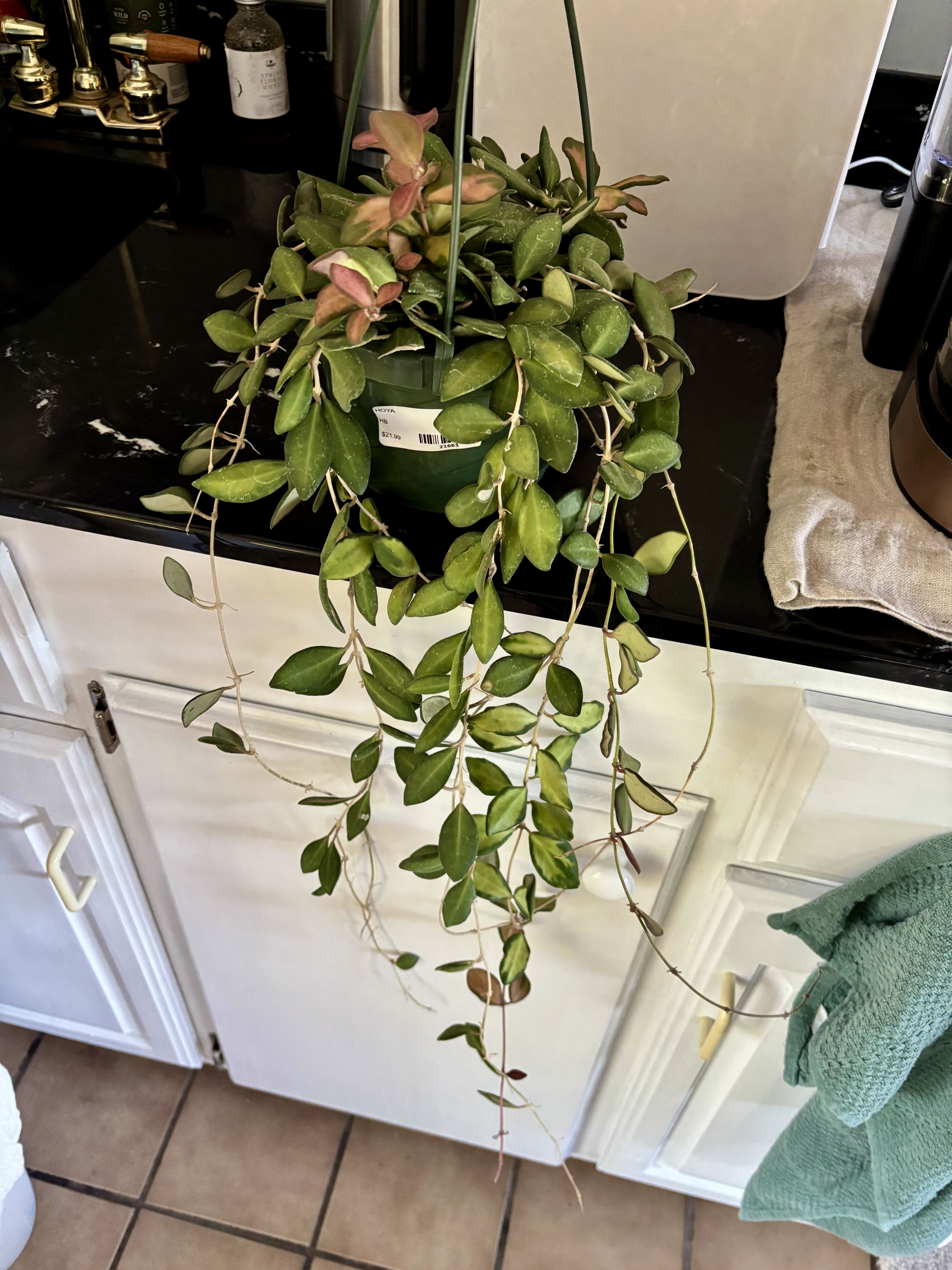 Photo from the post