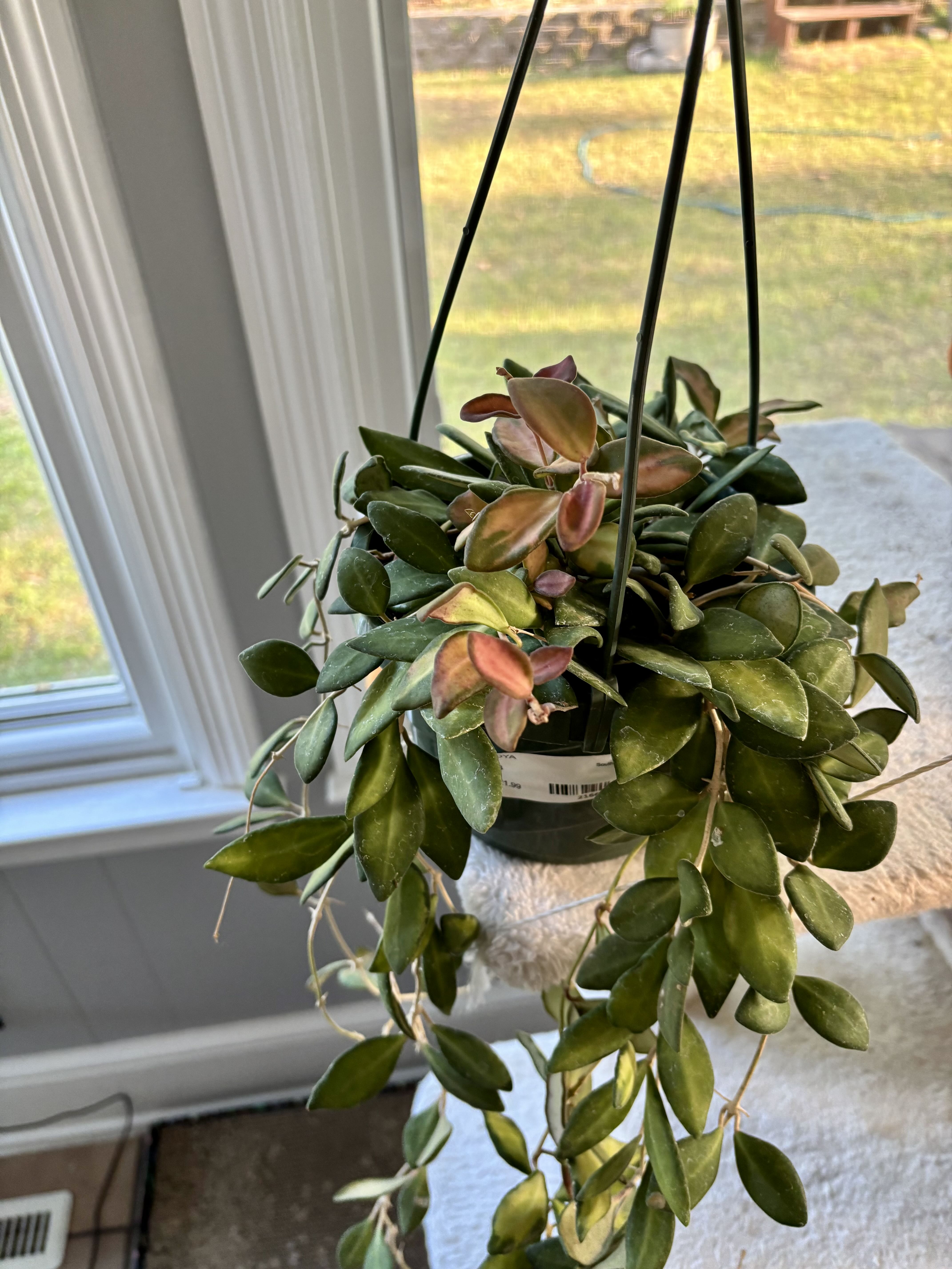 Photo from the post