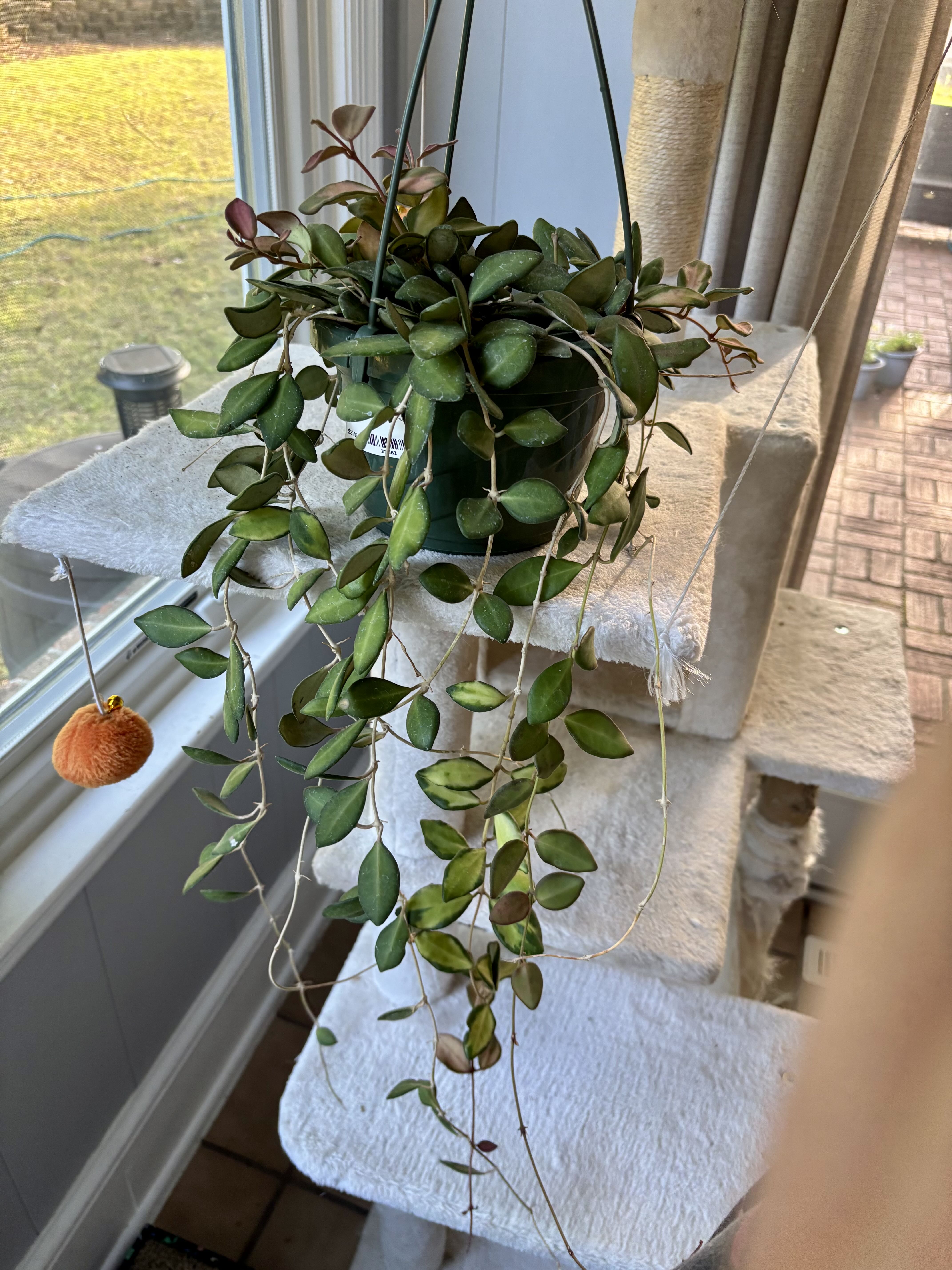 Photo from the post
