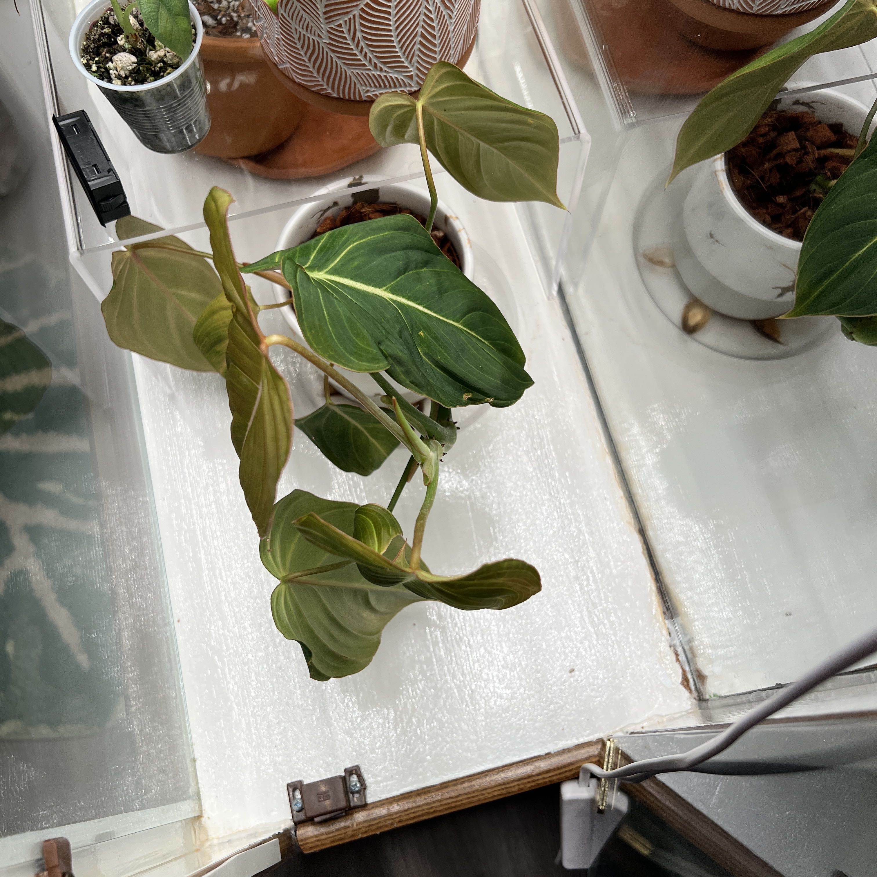 Photo from the post