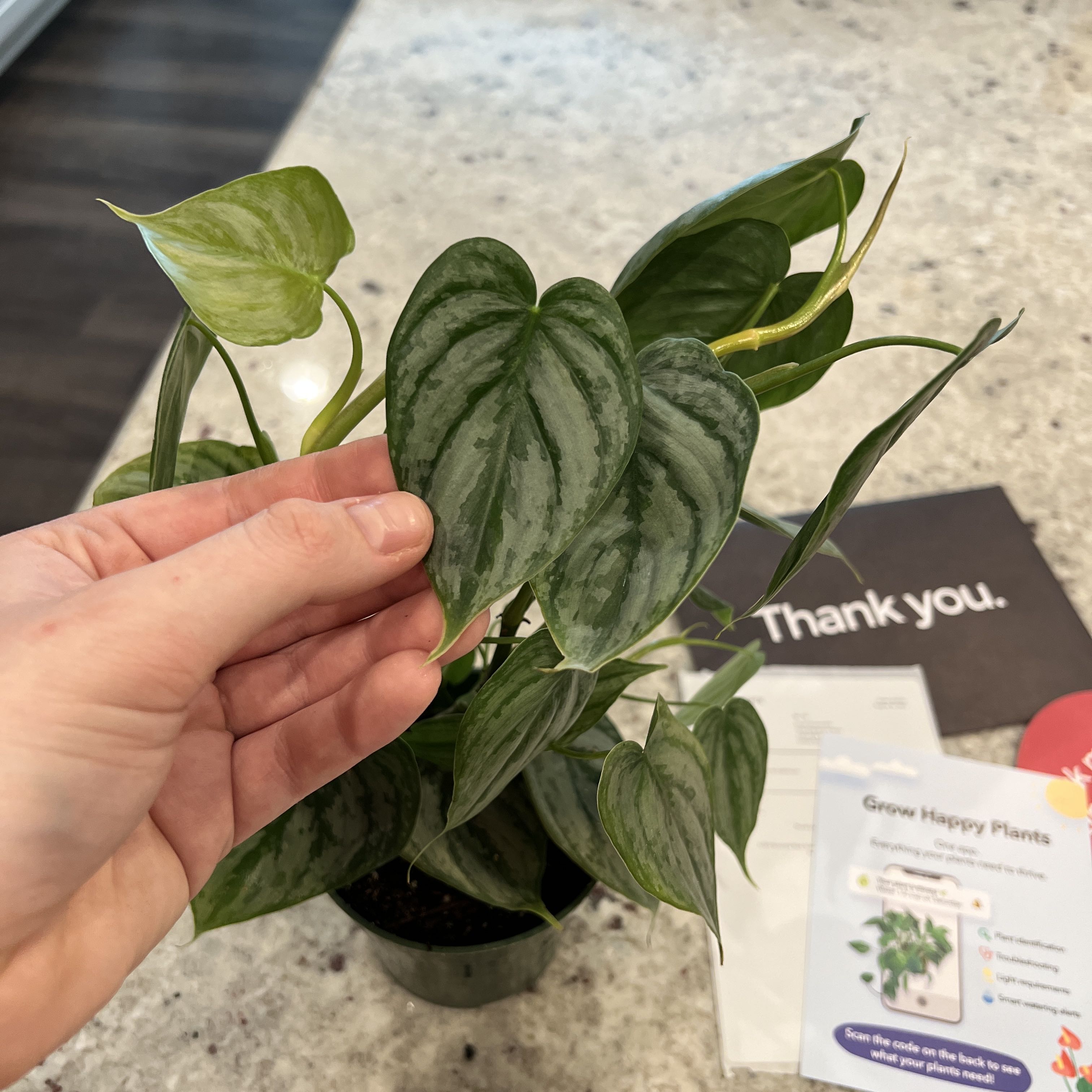 Photo from the post