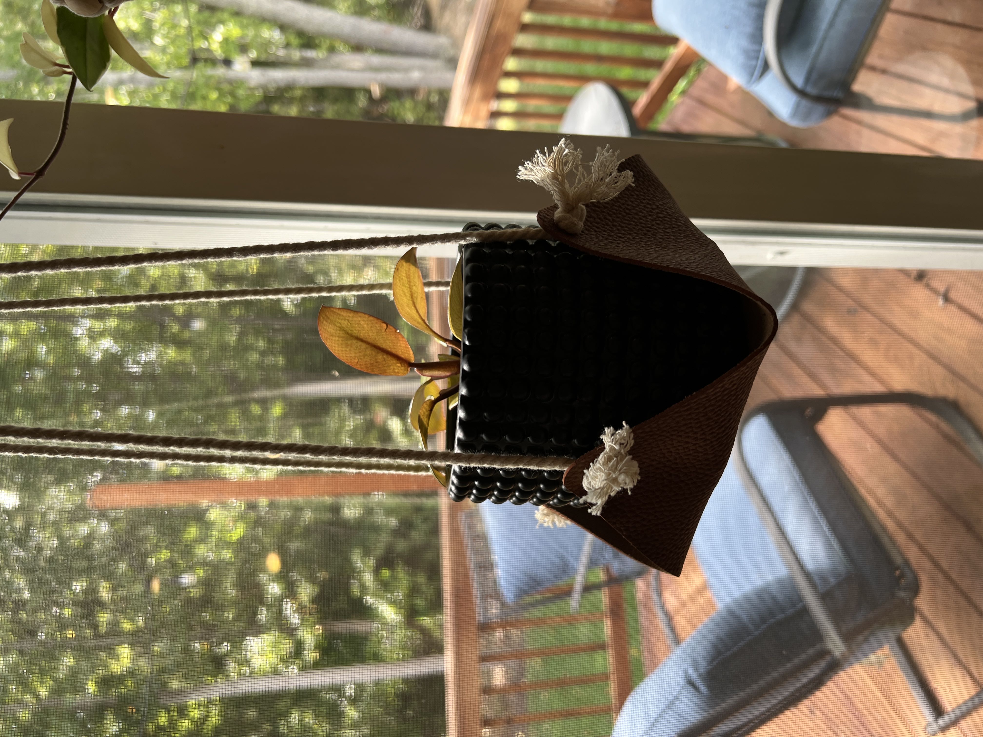 Photo from the post