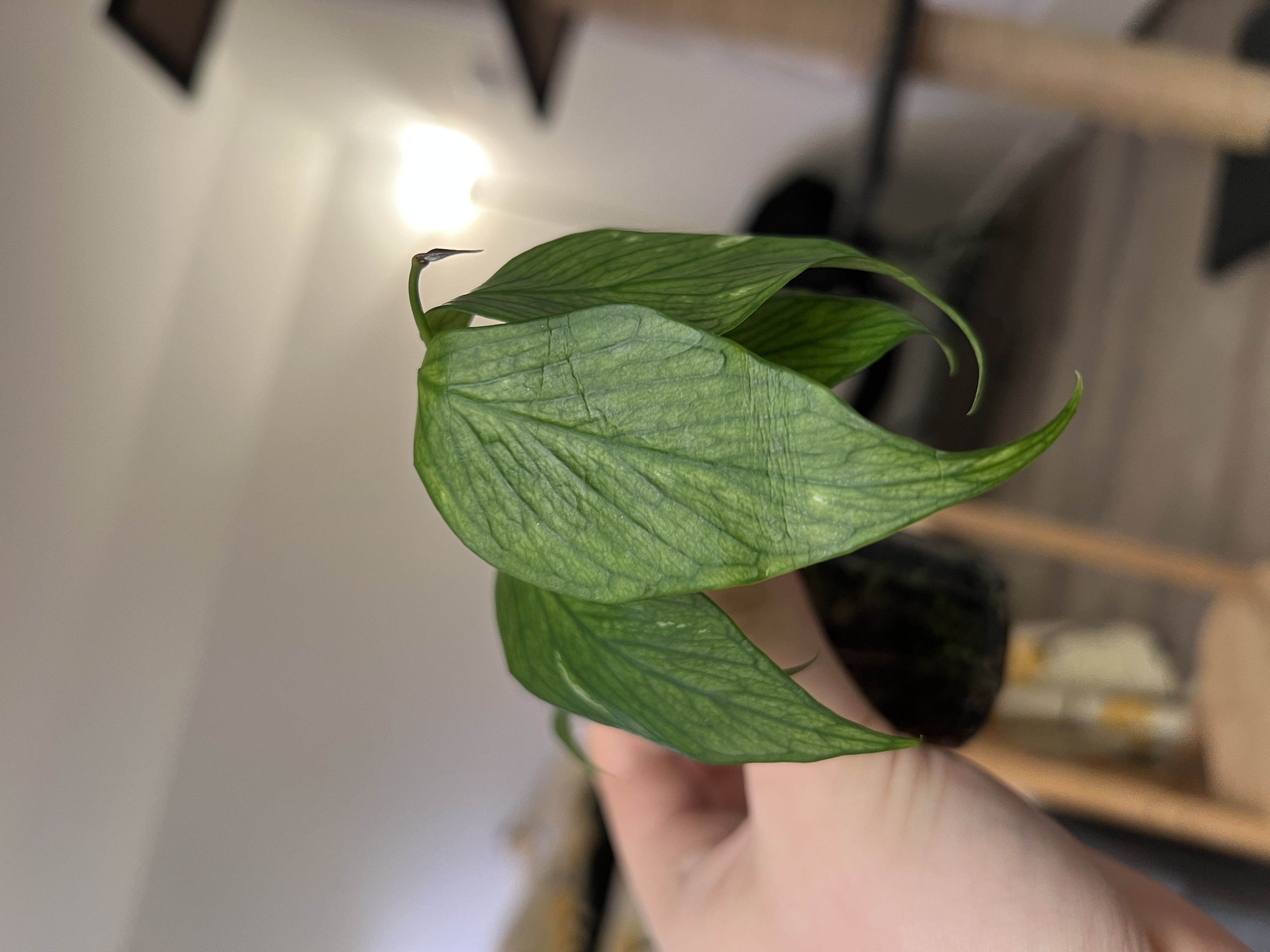 Photo from the post