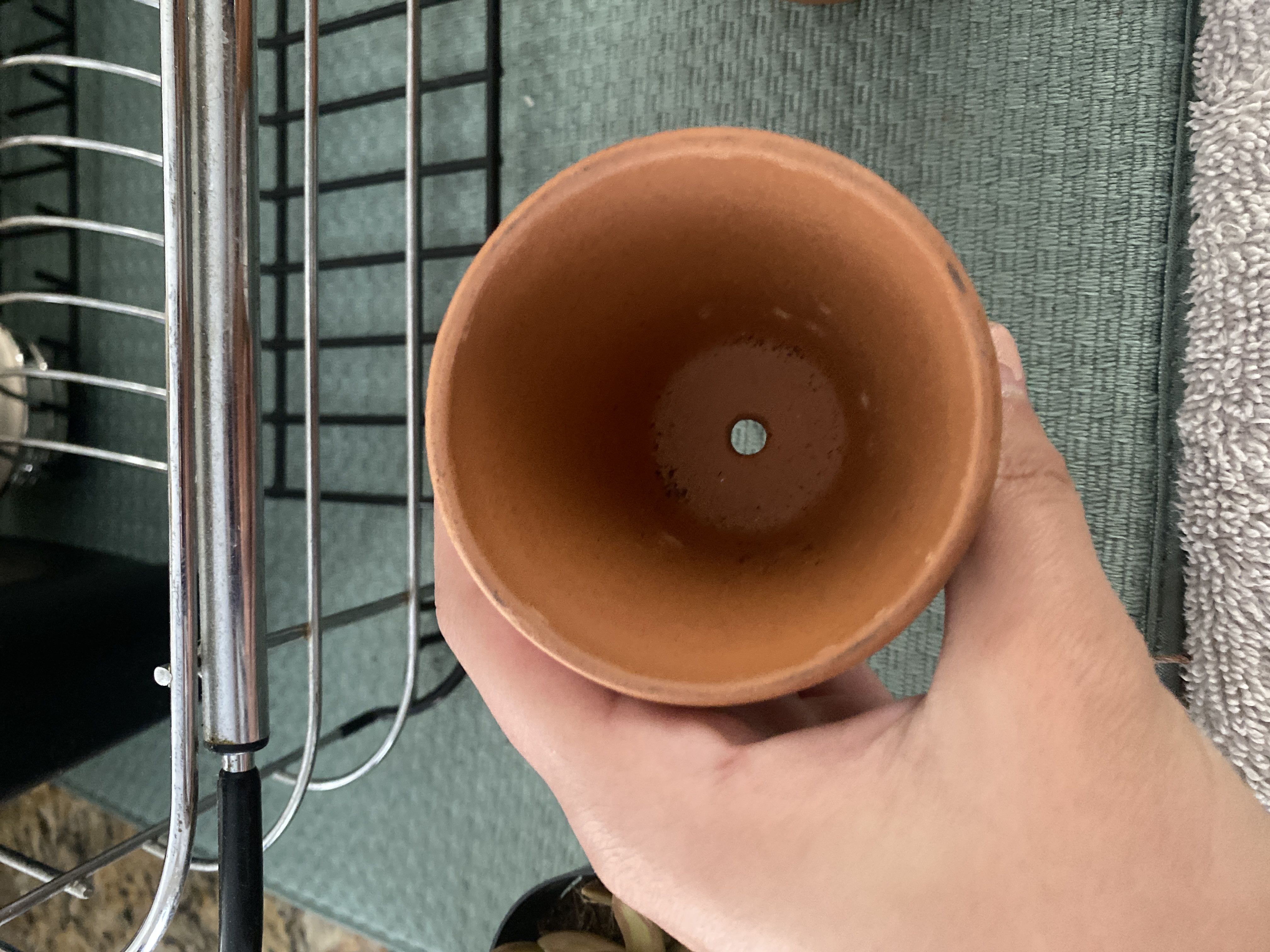 Photo from the post