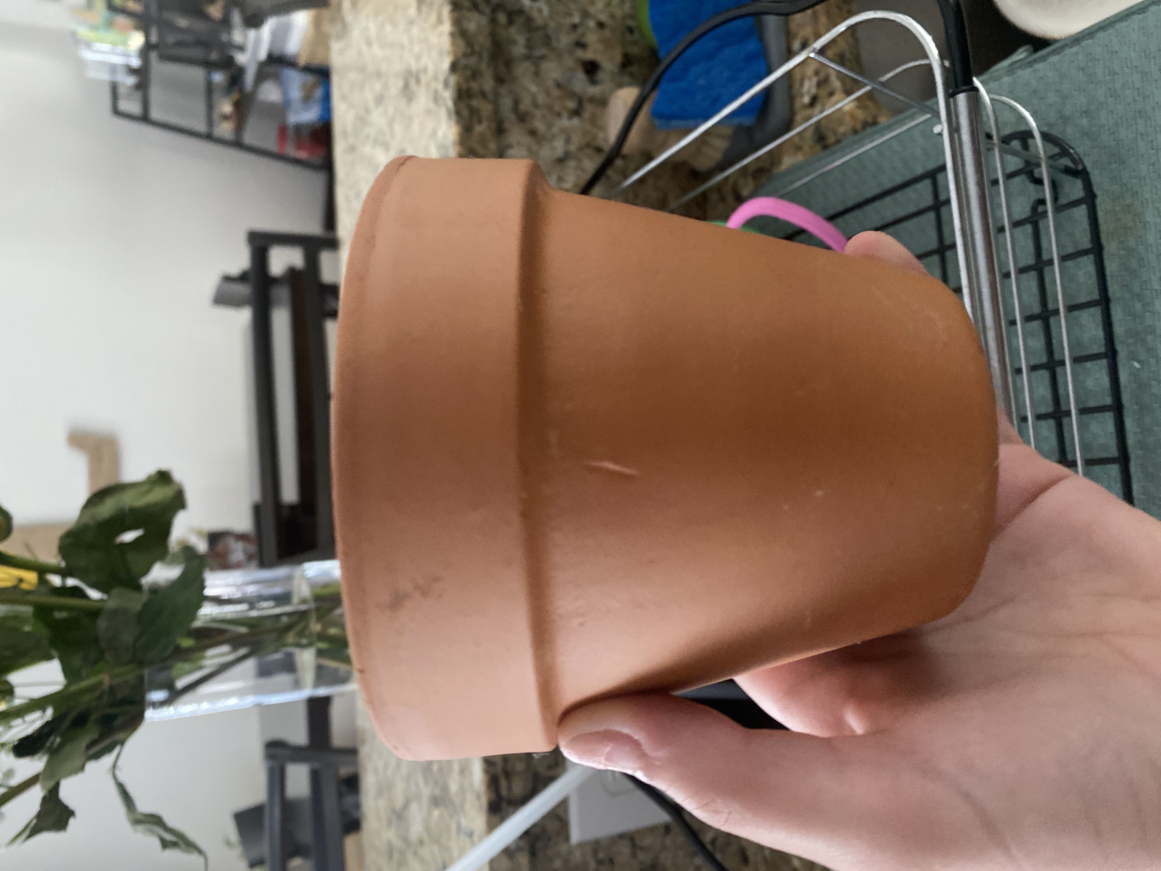 Photo from the post