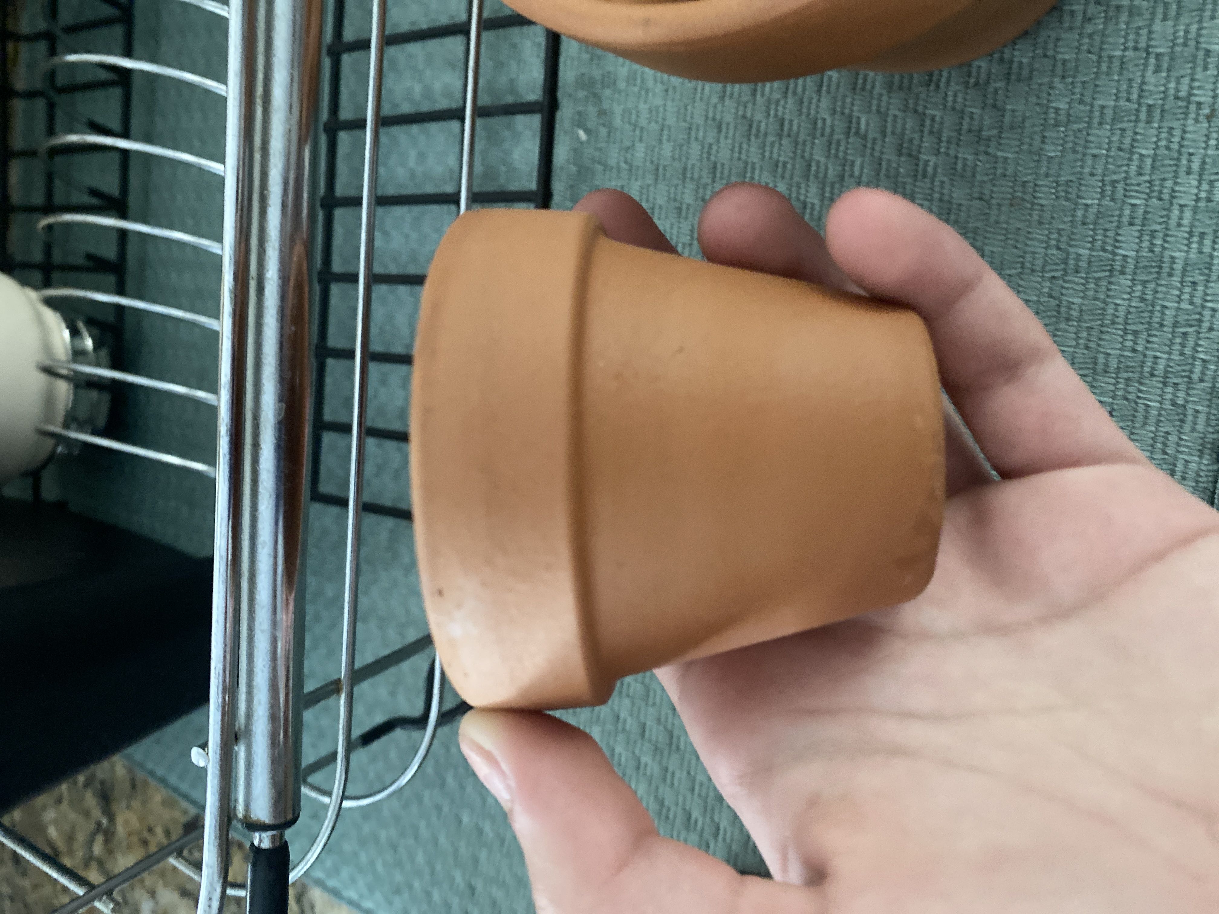Photo from the post