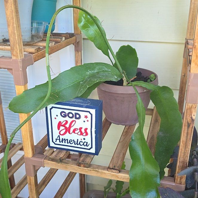 Sproutacus
