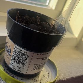 Photo of the plant species Greek Oregano by @BigErophaca33 named Eva on Greg, the plant care app