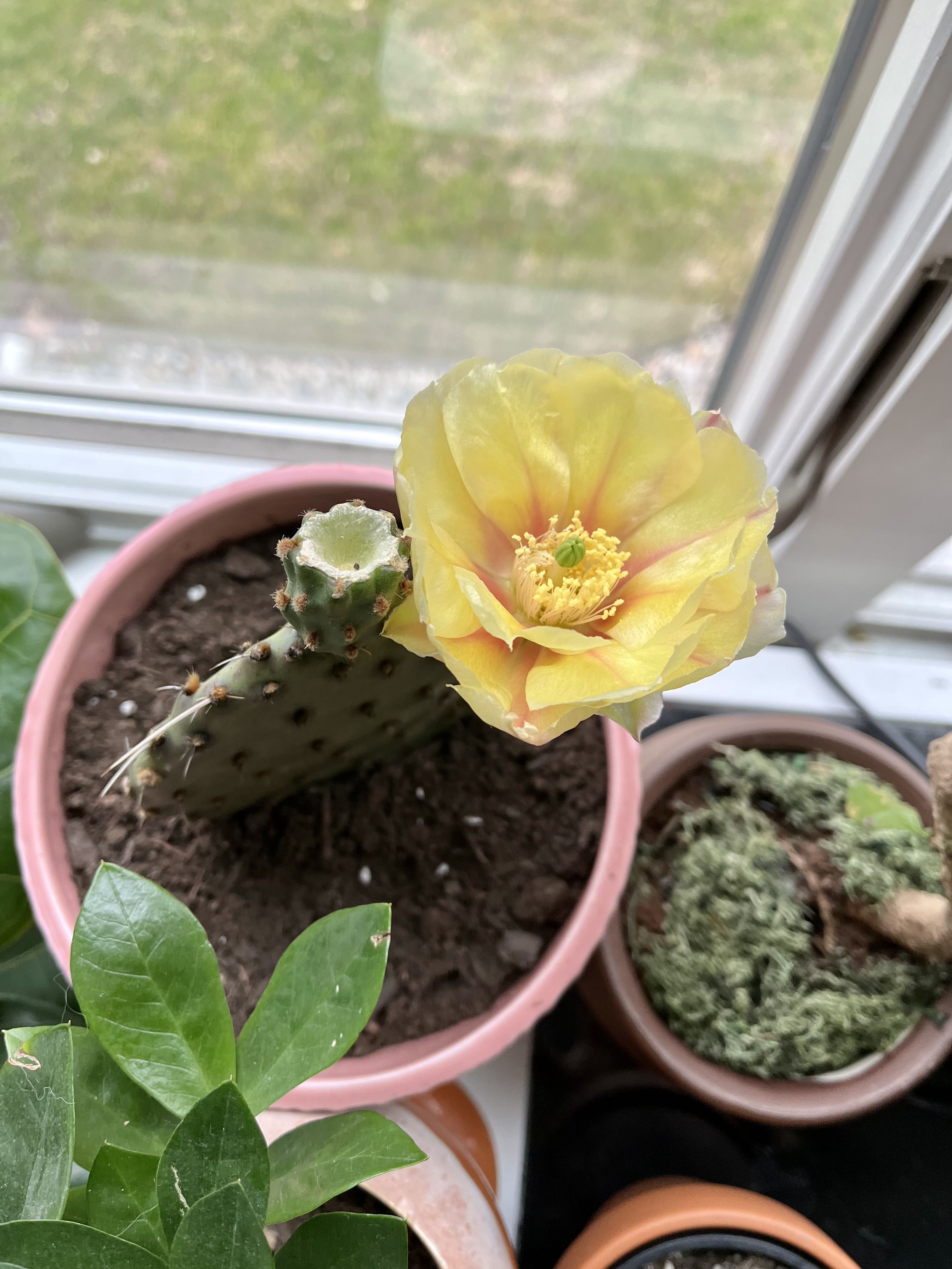 Photo from the post