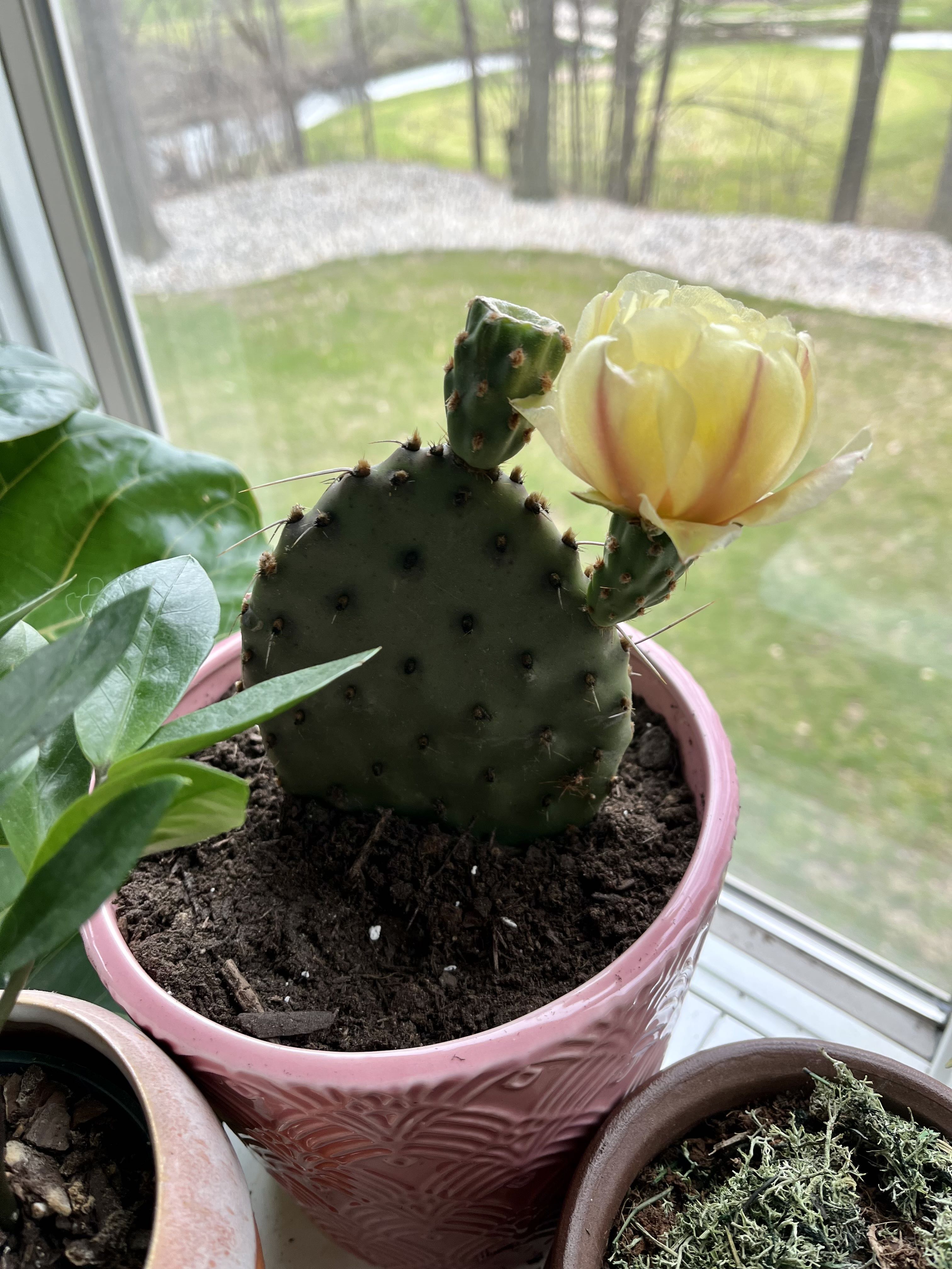 Photo from the post