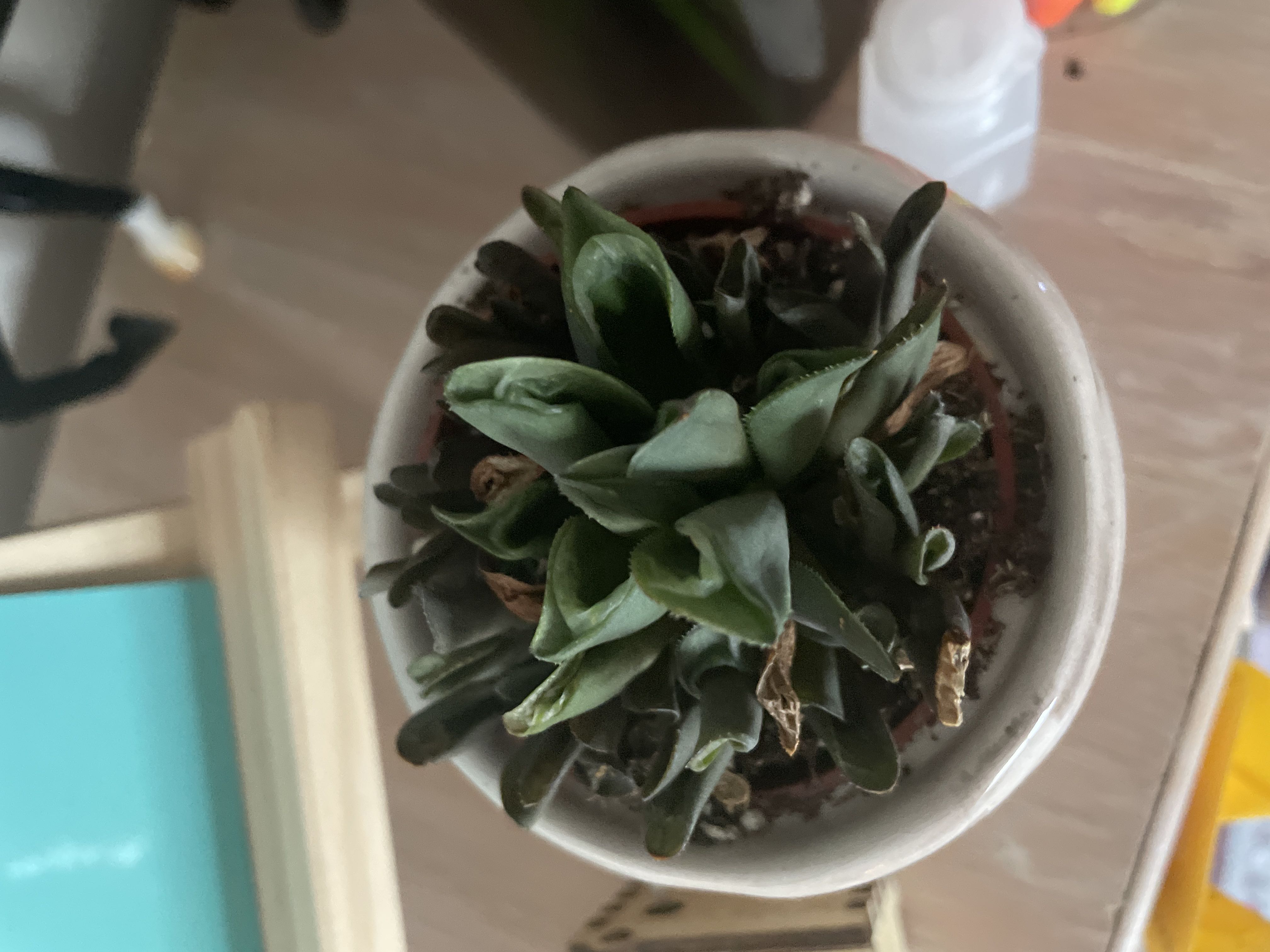 Photo from the post