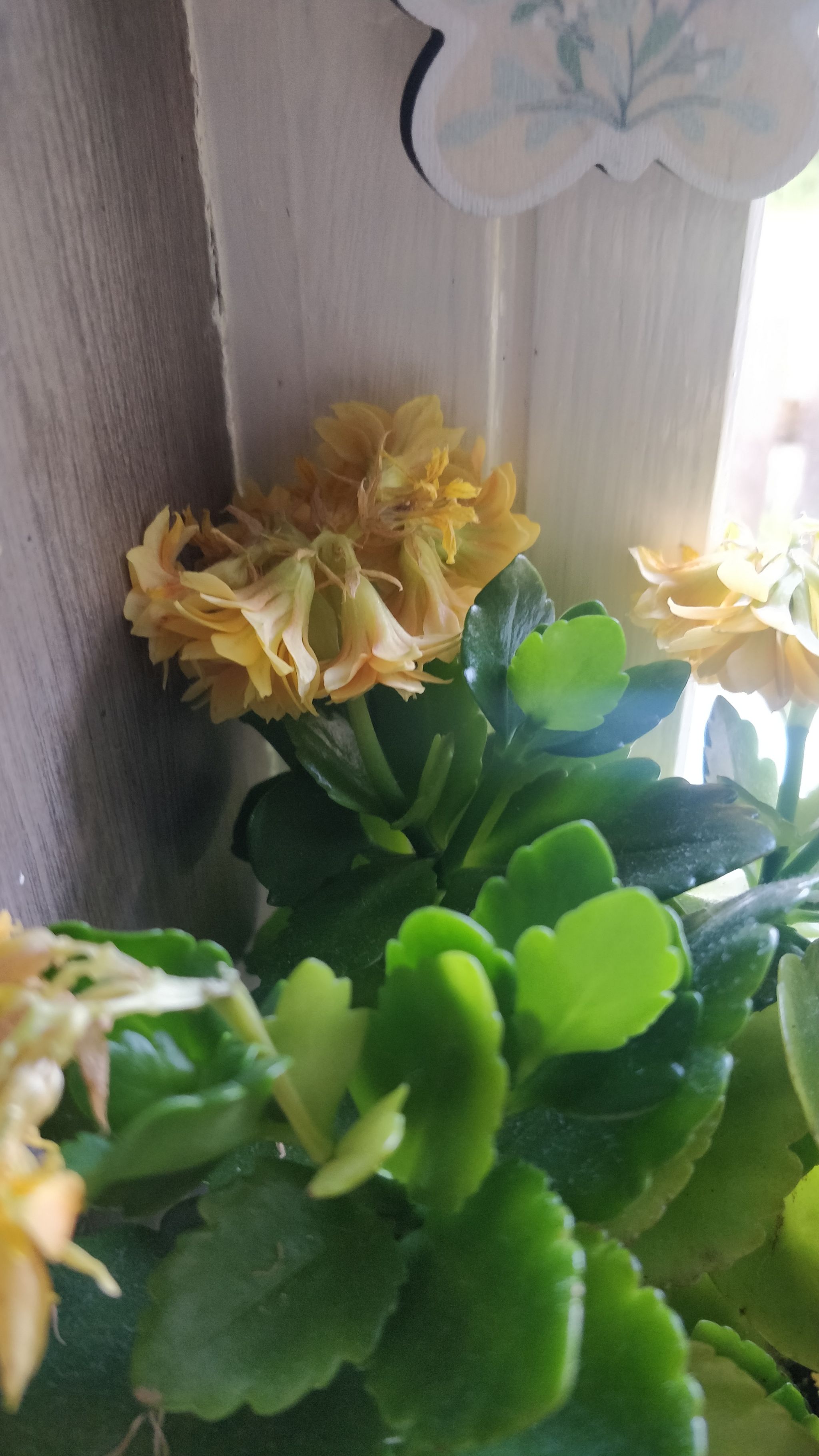 Photo from the post