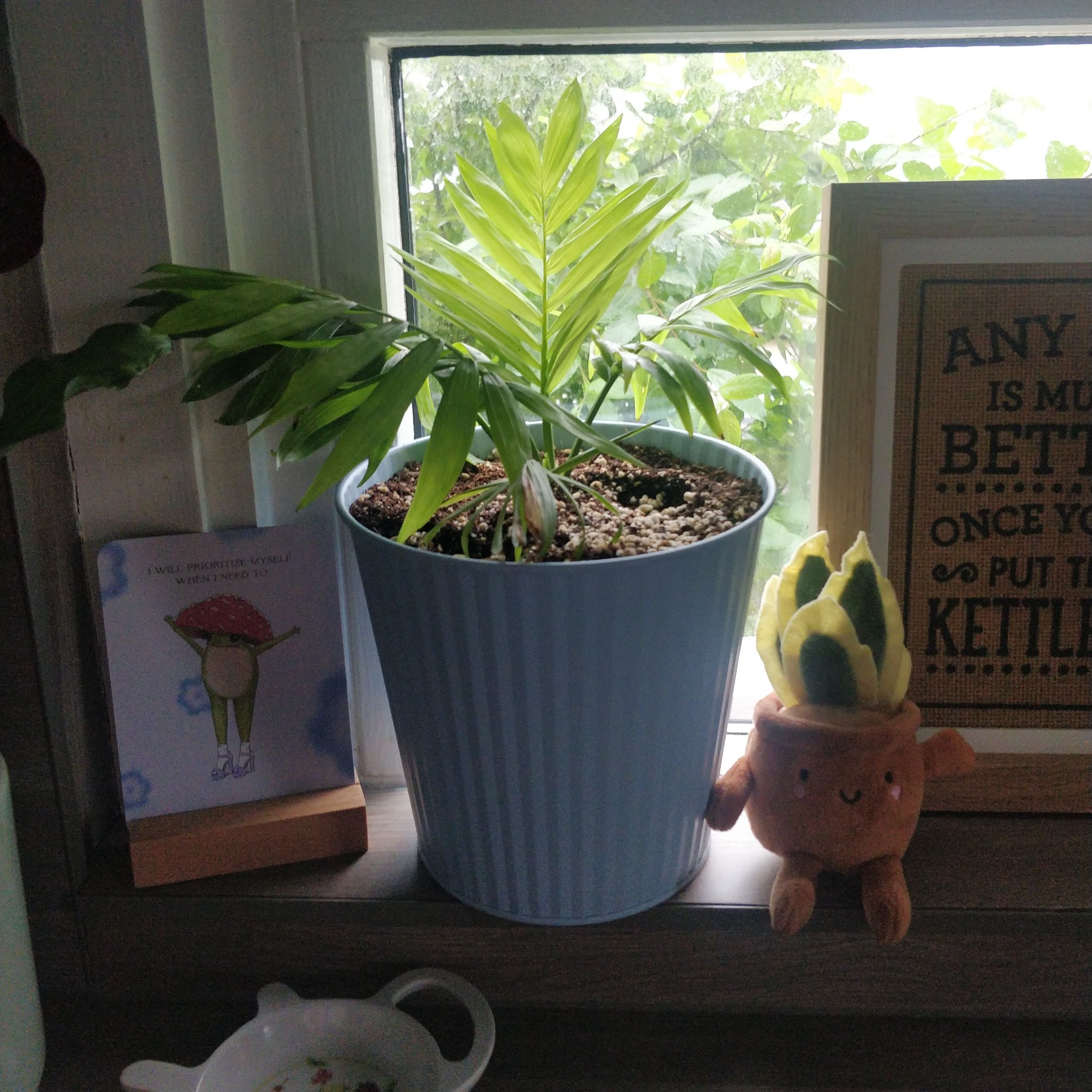 Leafy junior