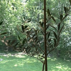 Photo of the plant species Arbequina Olive Tree by @LushRhubarb66 named Arbequina on Greg, the plant care app