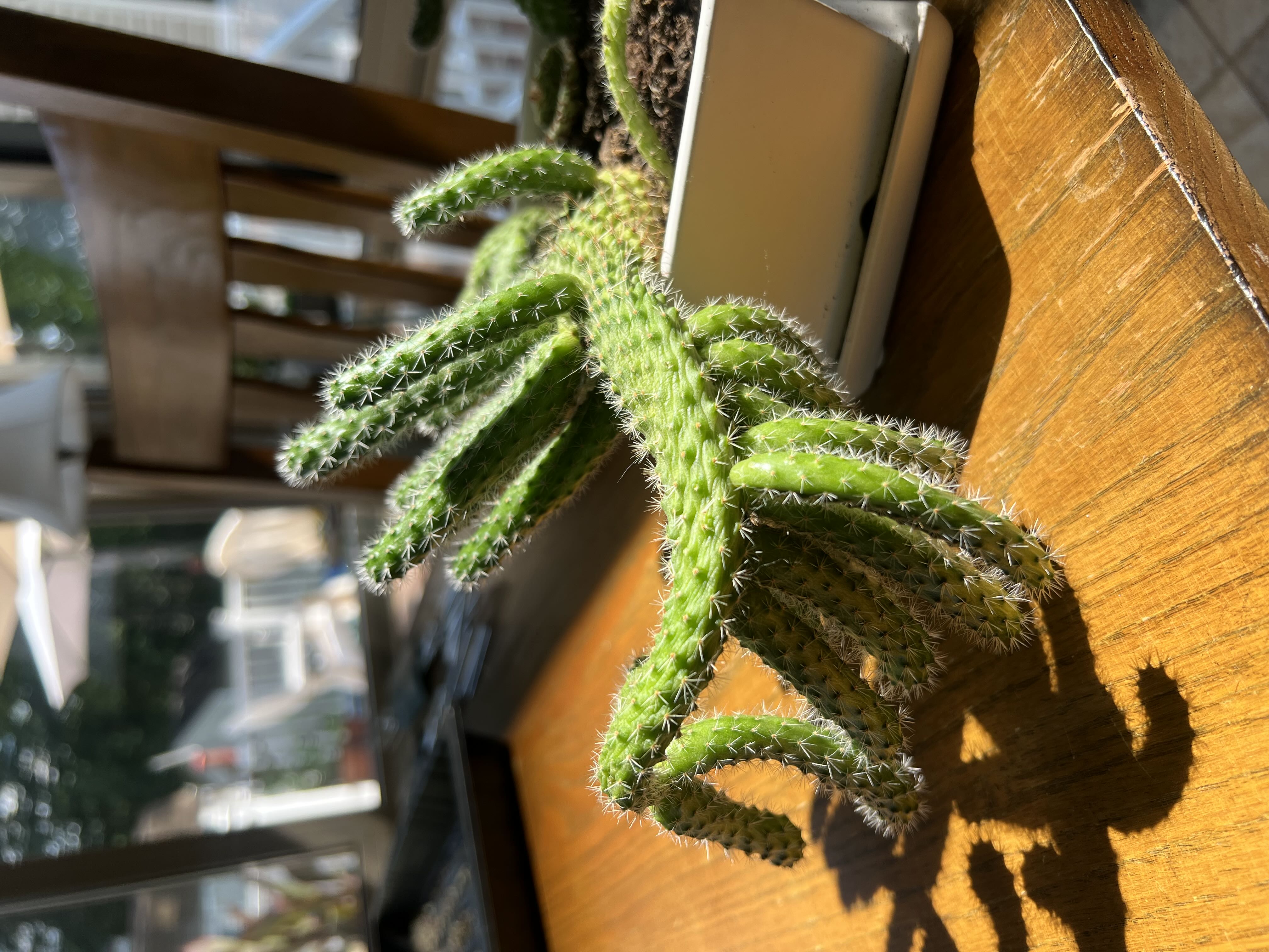 Photo from the post